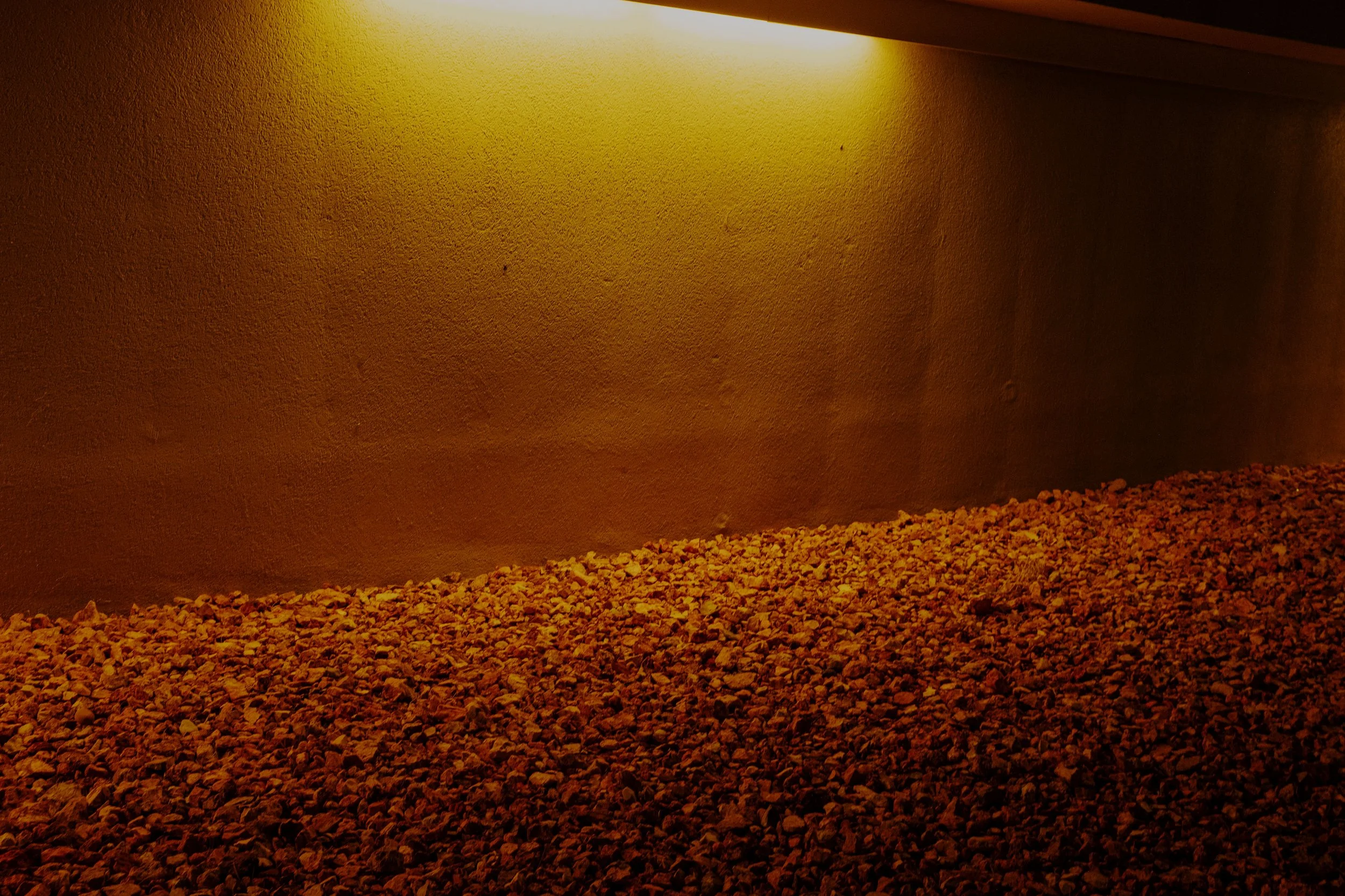 DSCF2483-t.jpg