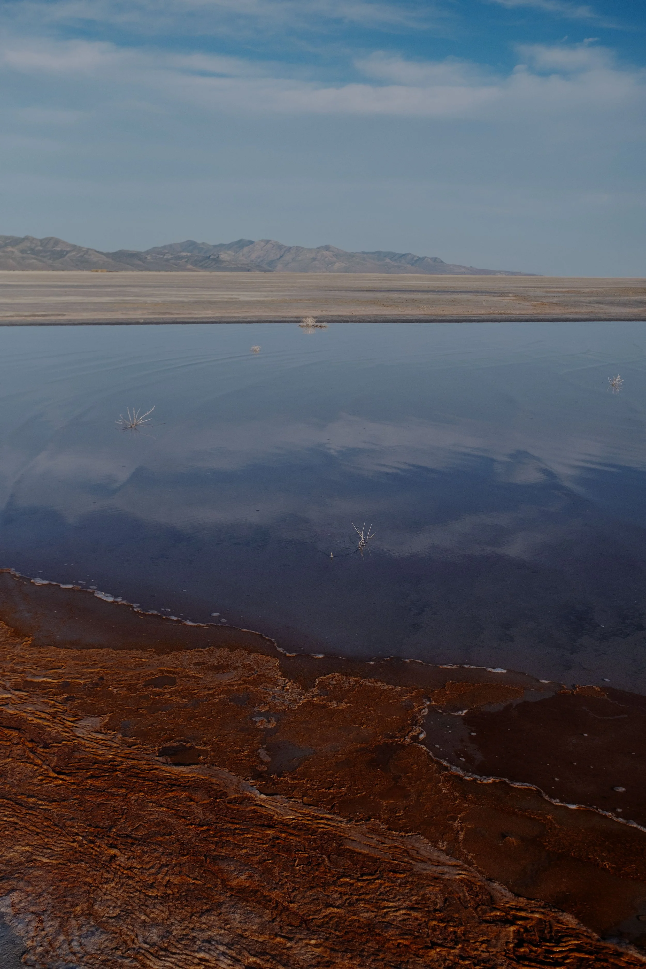 DSCF2734-t.jpg