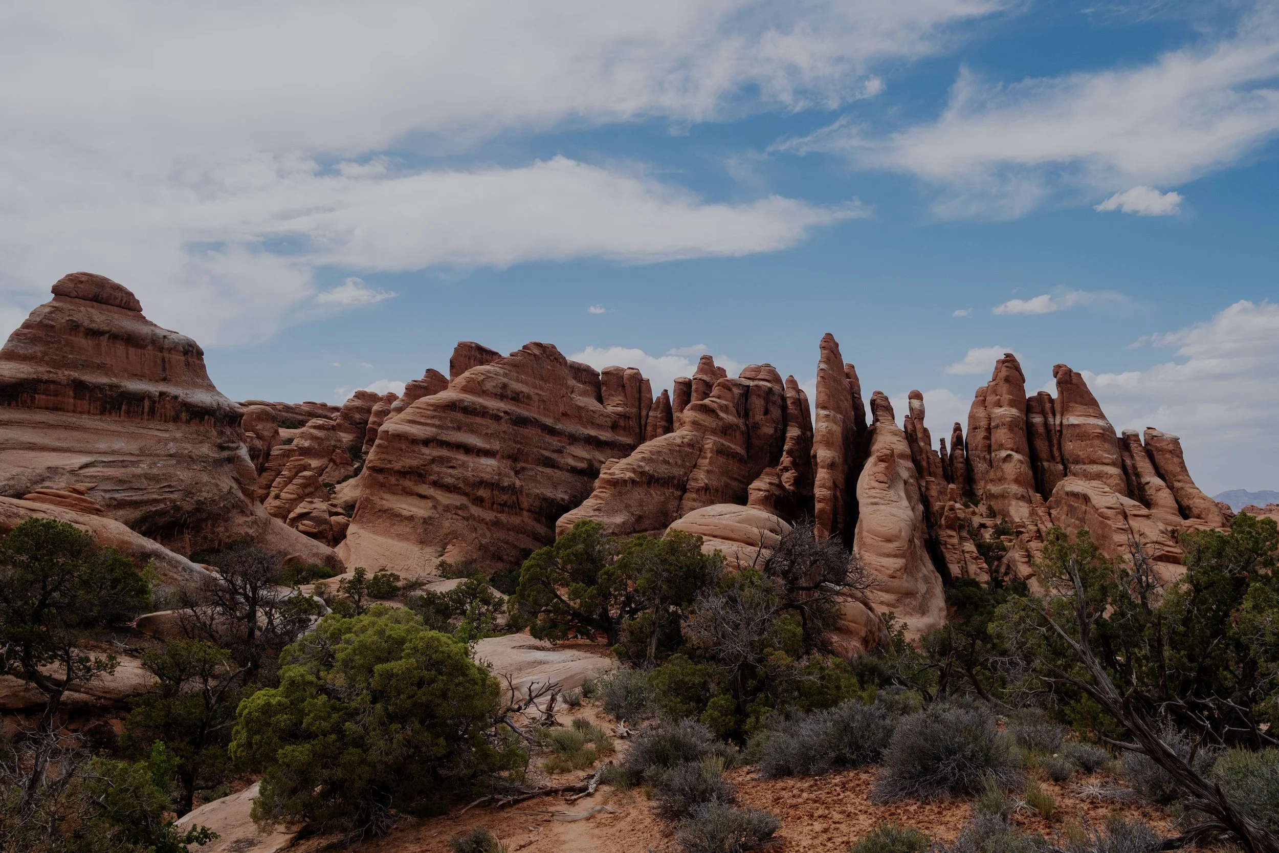 DSCF3333-t.jpg