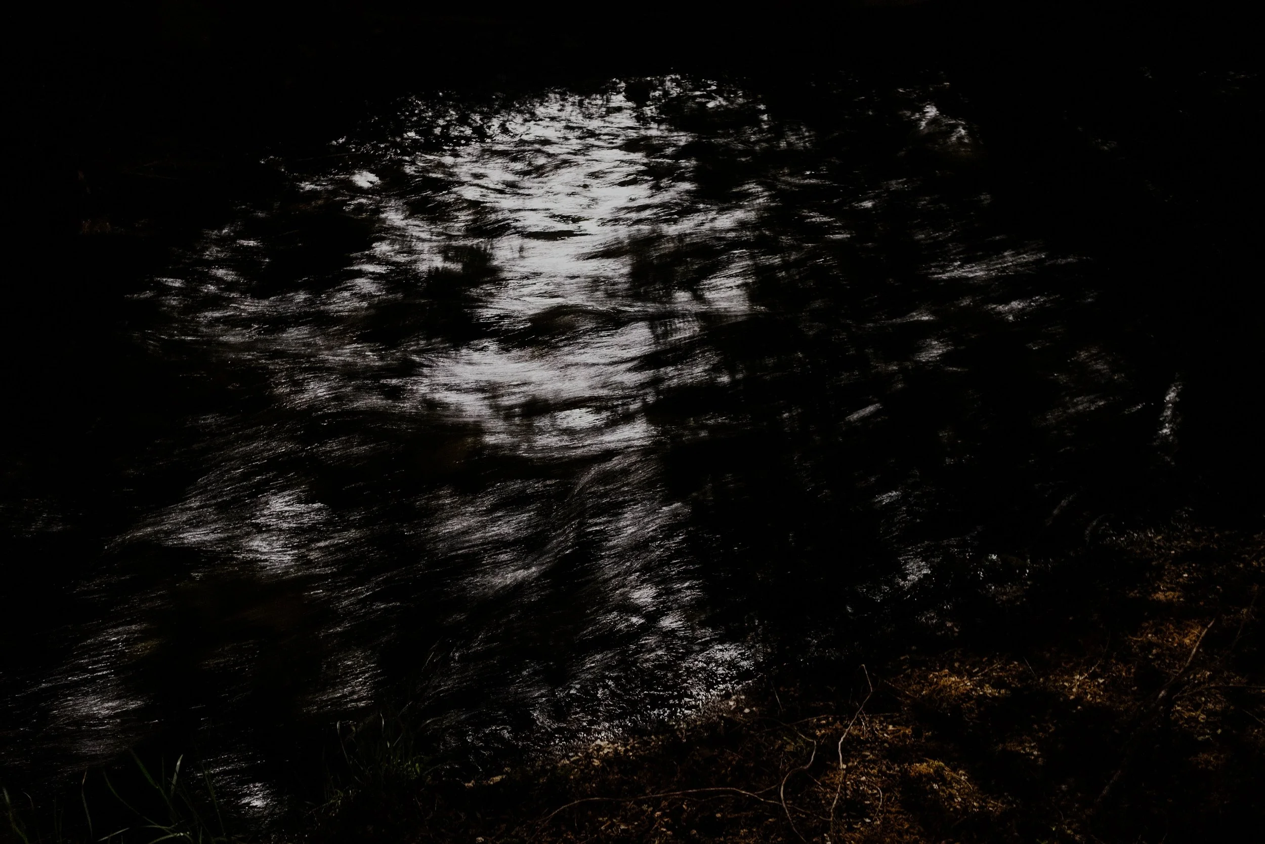 DSCF3683-t.jpg