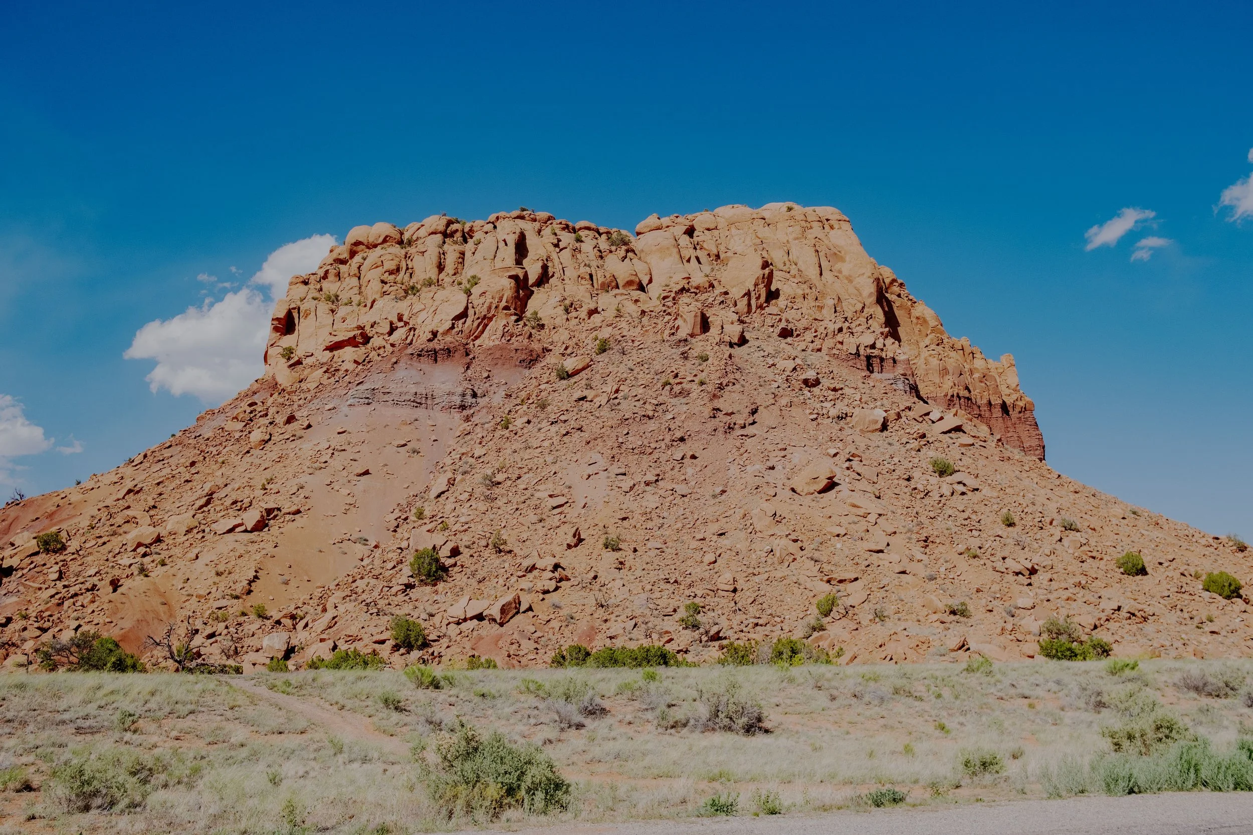 DSCF3738-t.jpg