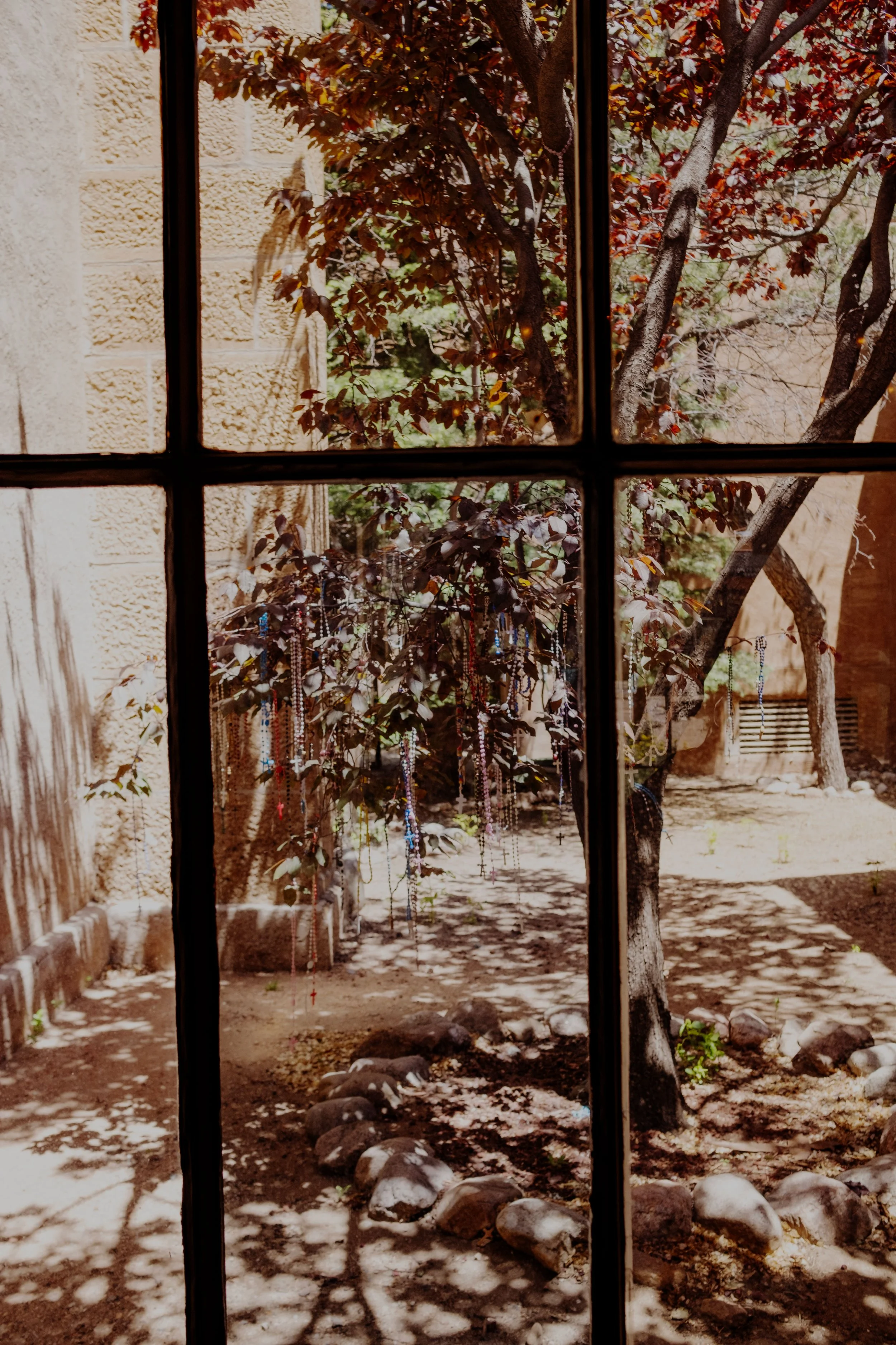 DSCF3779-t.jpg