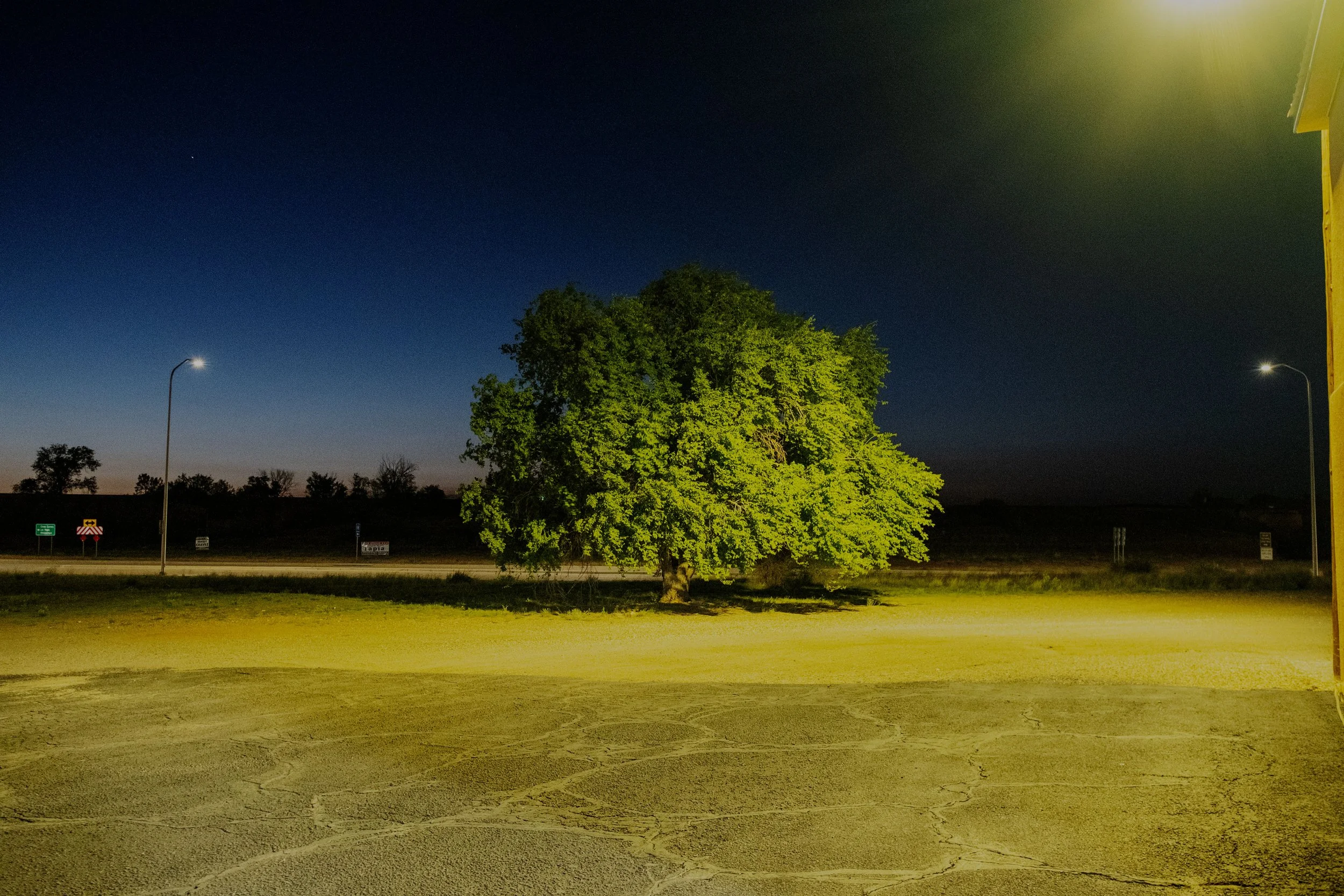 DSCF4272-t.jpg