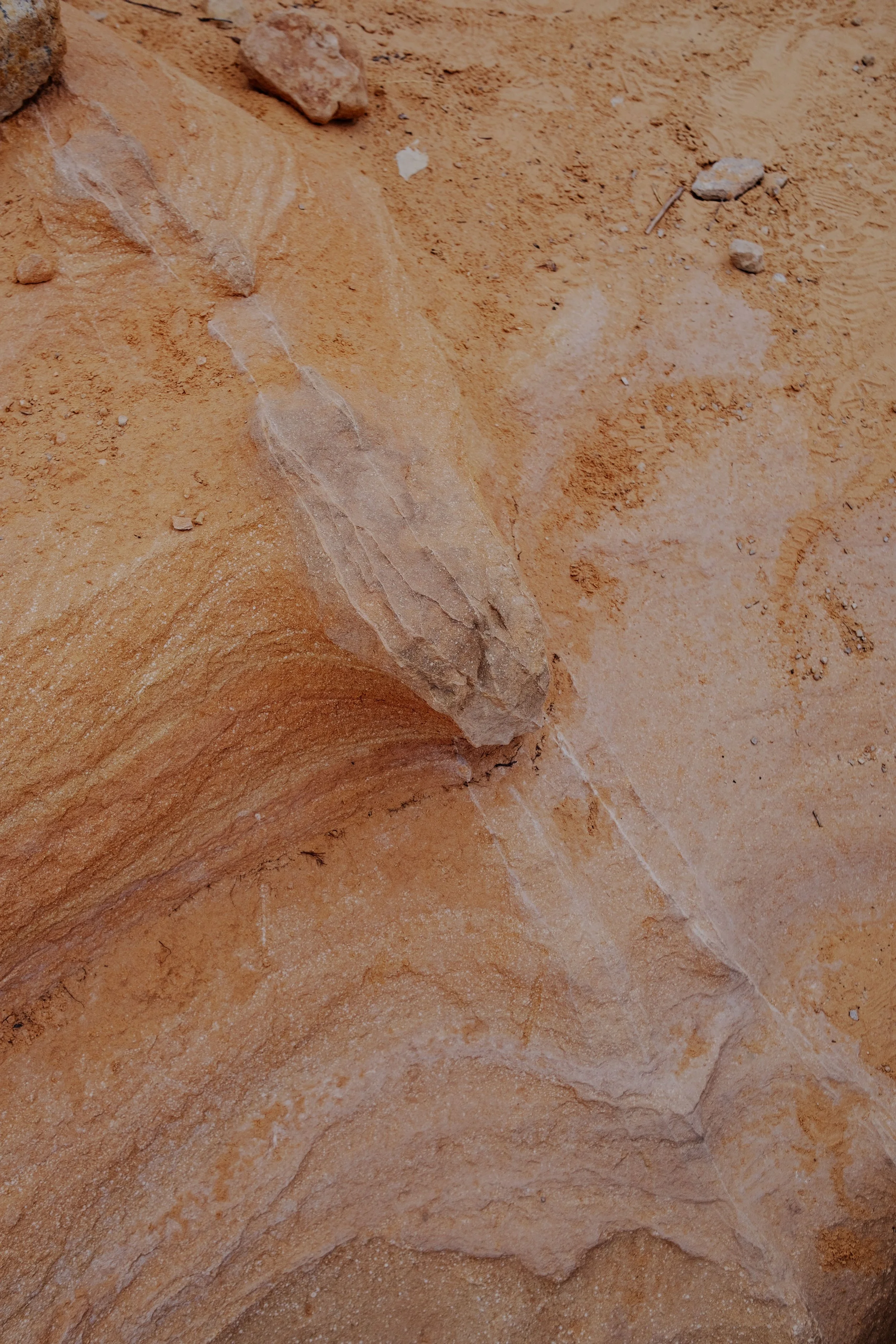 DSCF5062-t.jpg