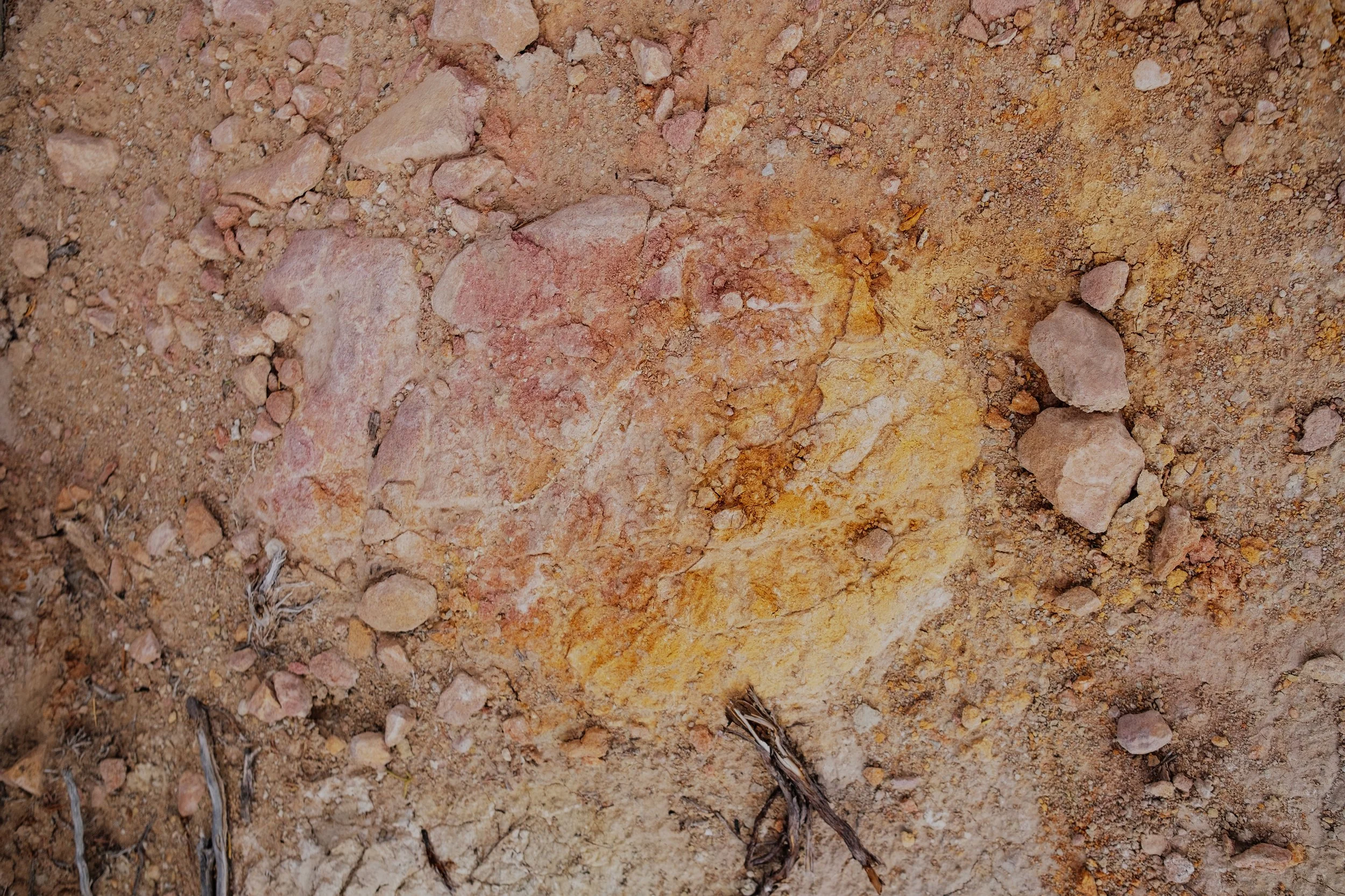 DSCF5102-t.jpg