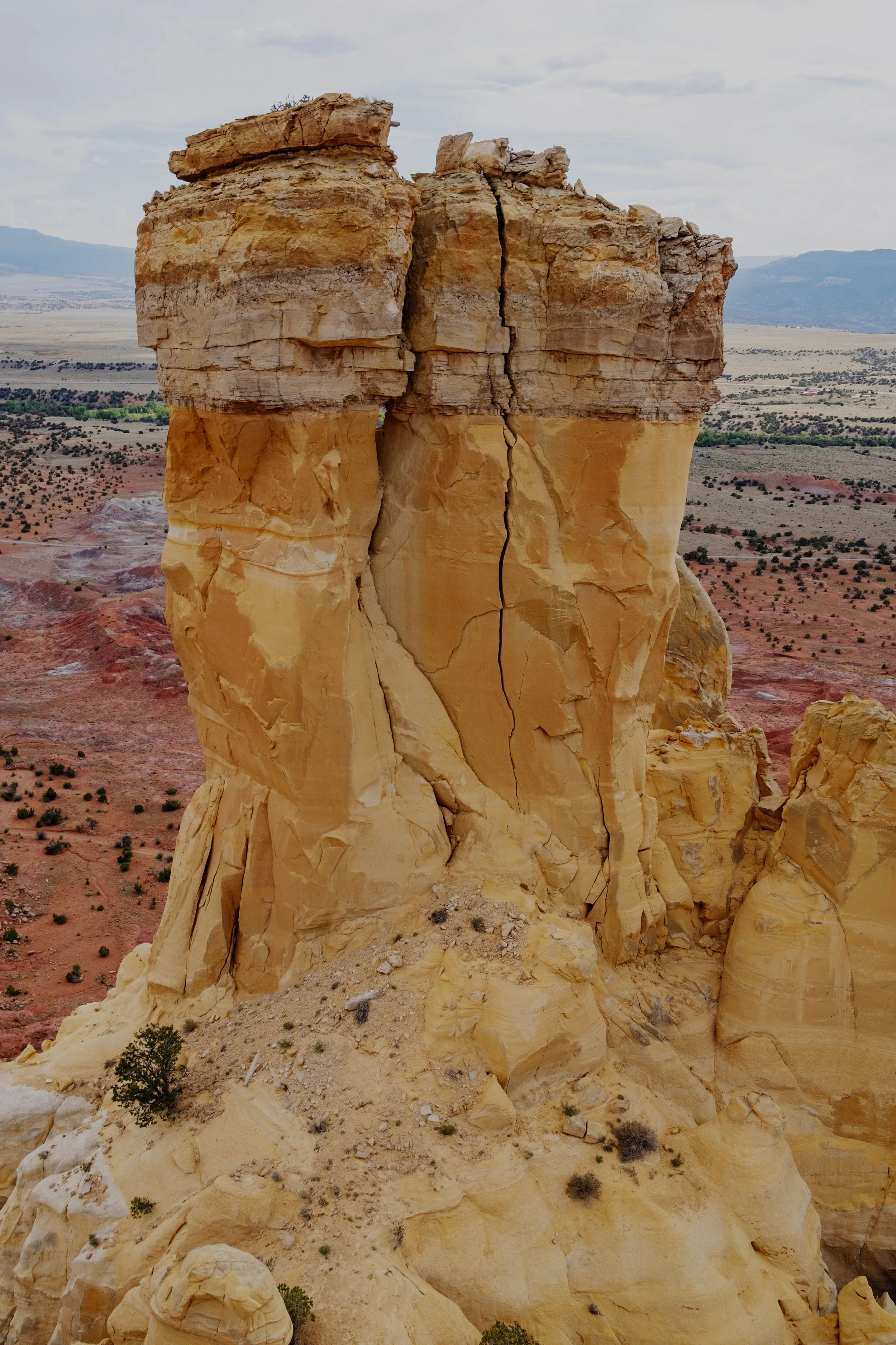 DSCF5147-t.jpg