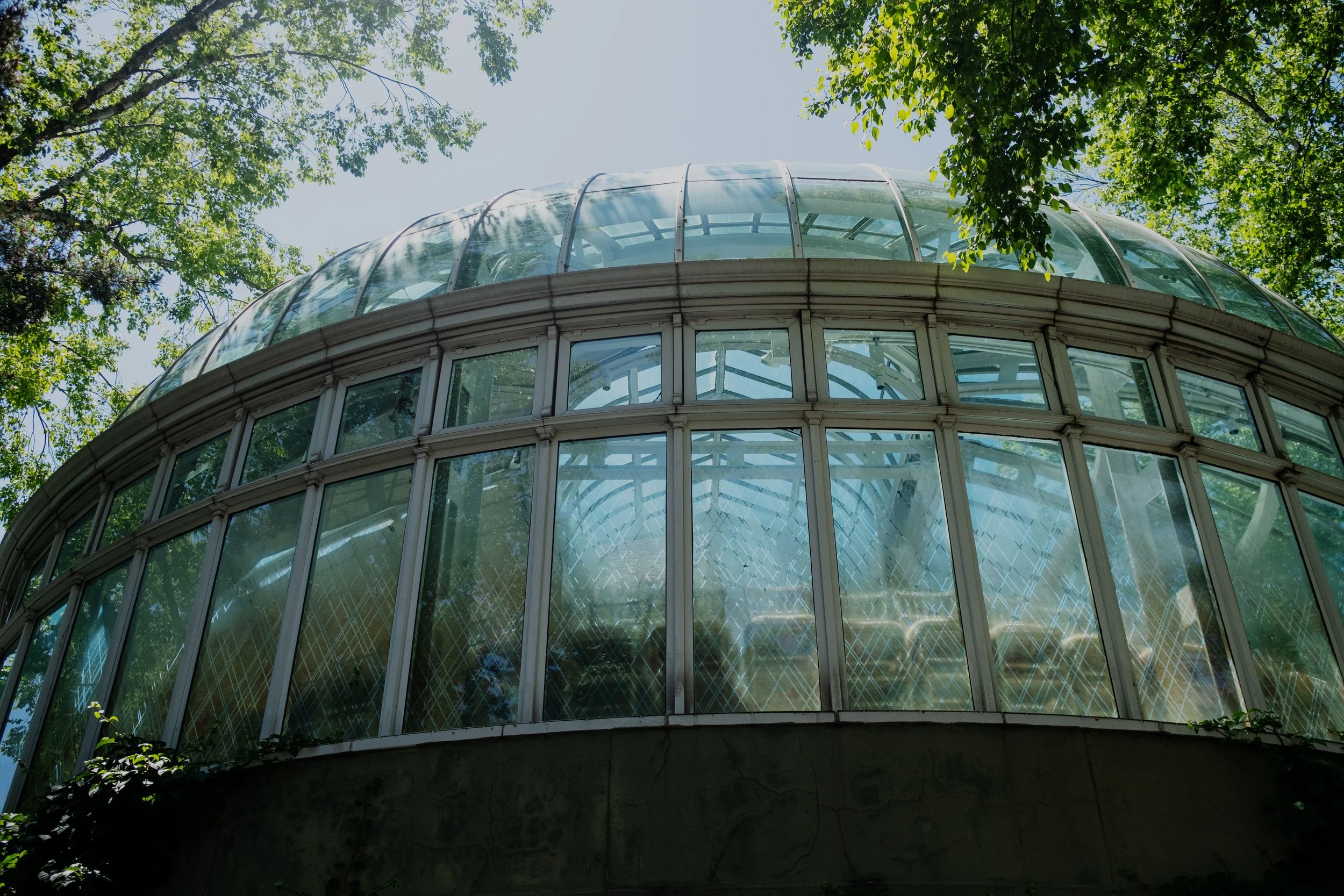 DSCF5655-t.jpg