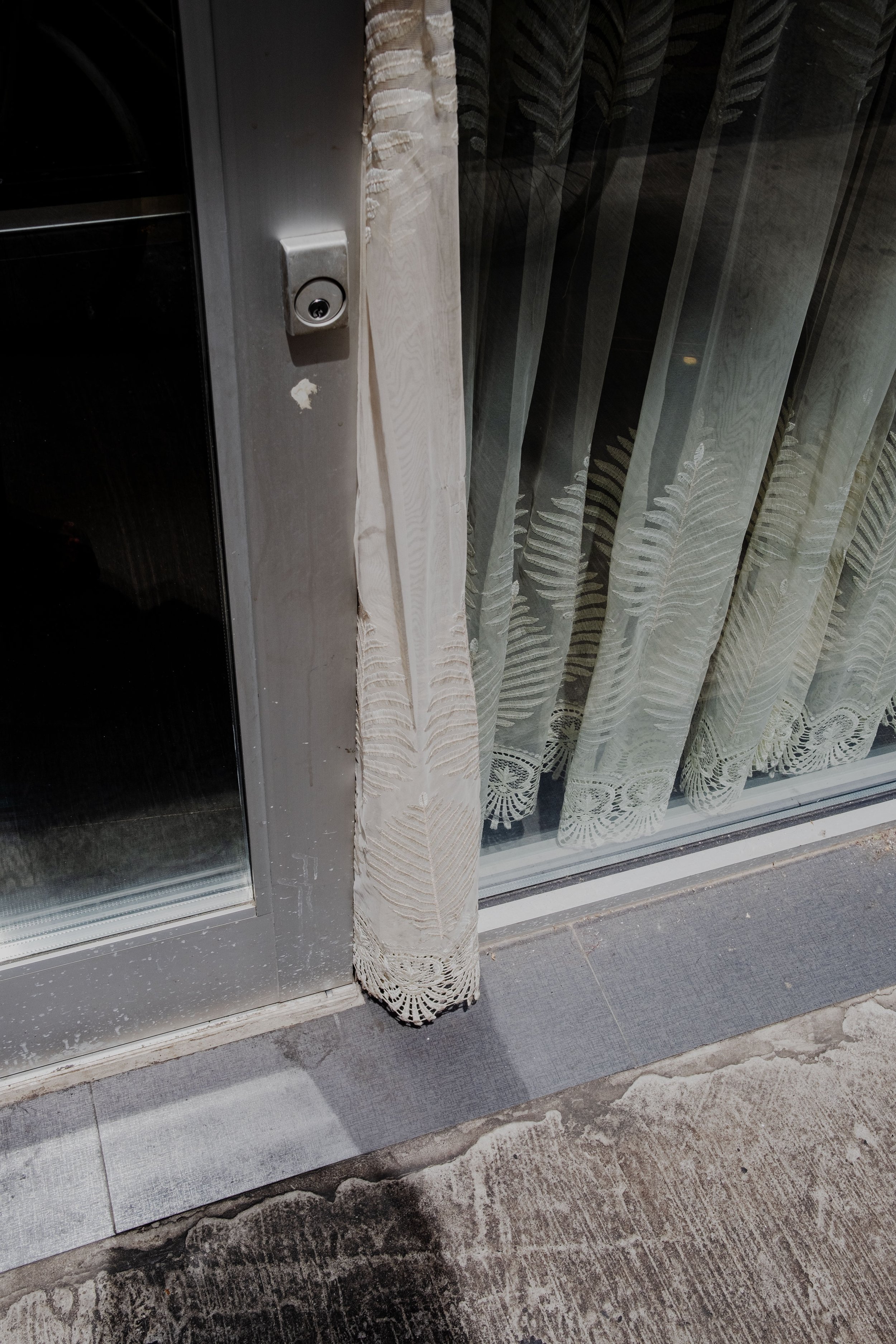 DSCF5947-t.jpg