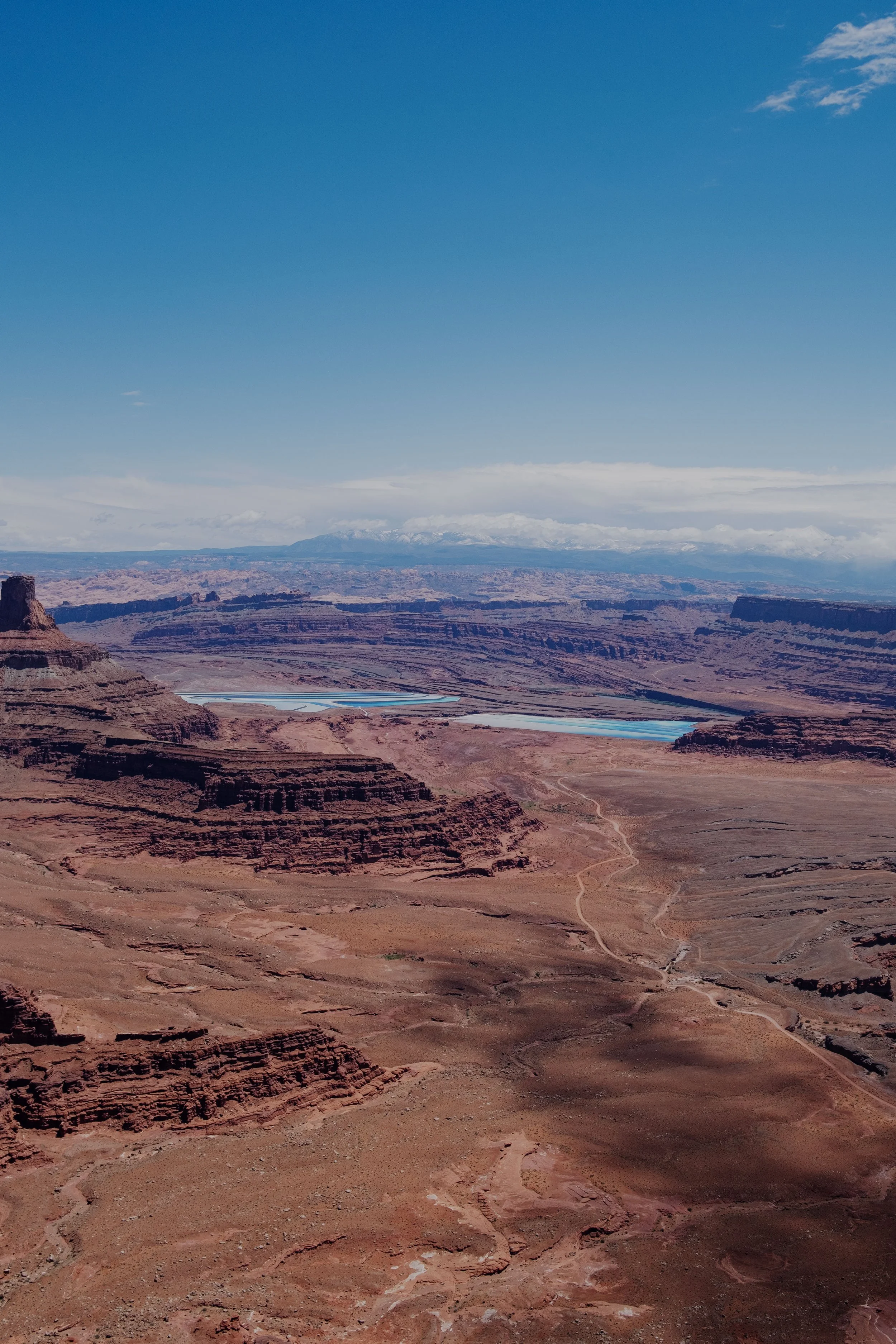 DSCF3530-t.jpg