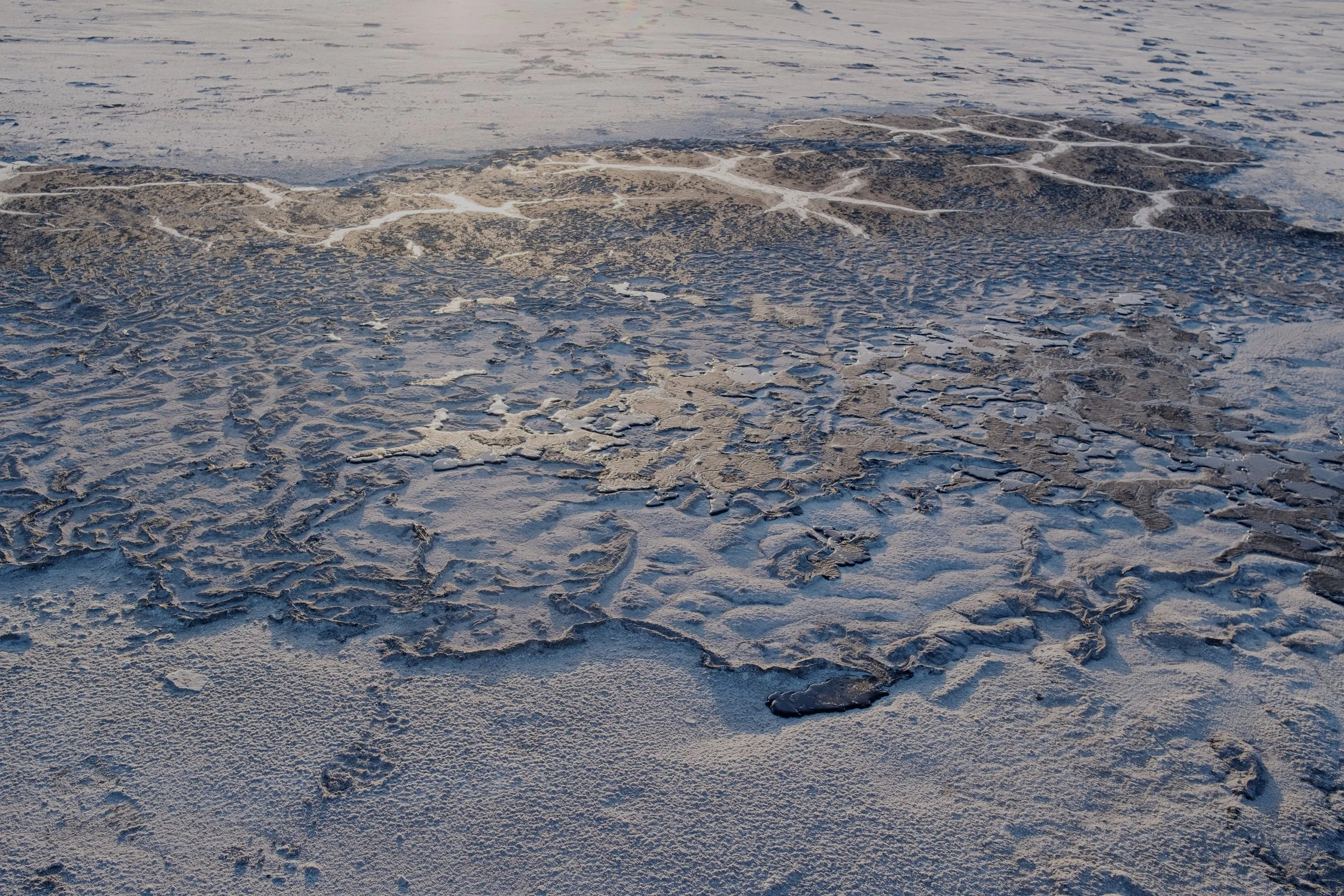 DSCF2760-t.jpg