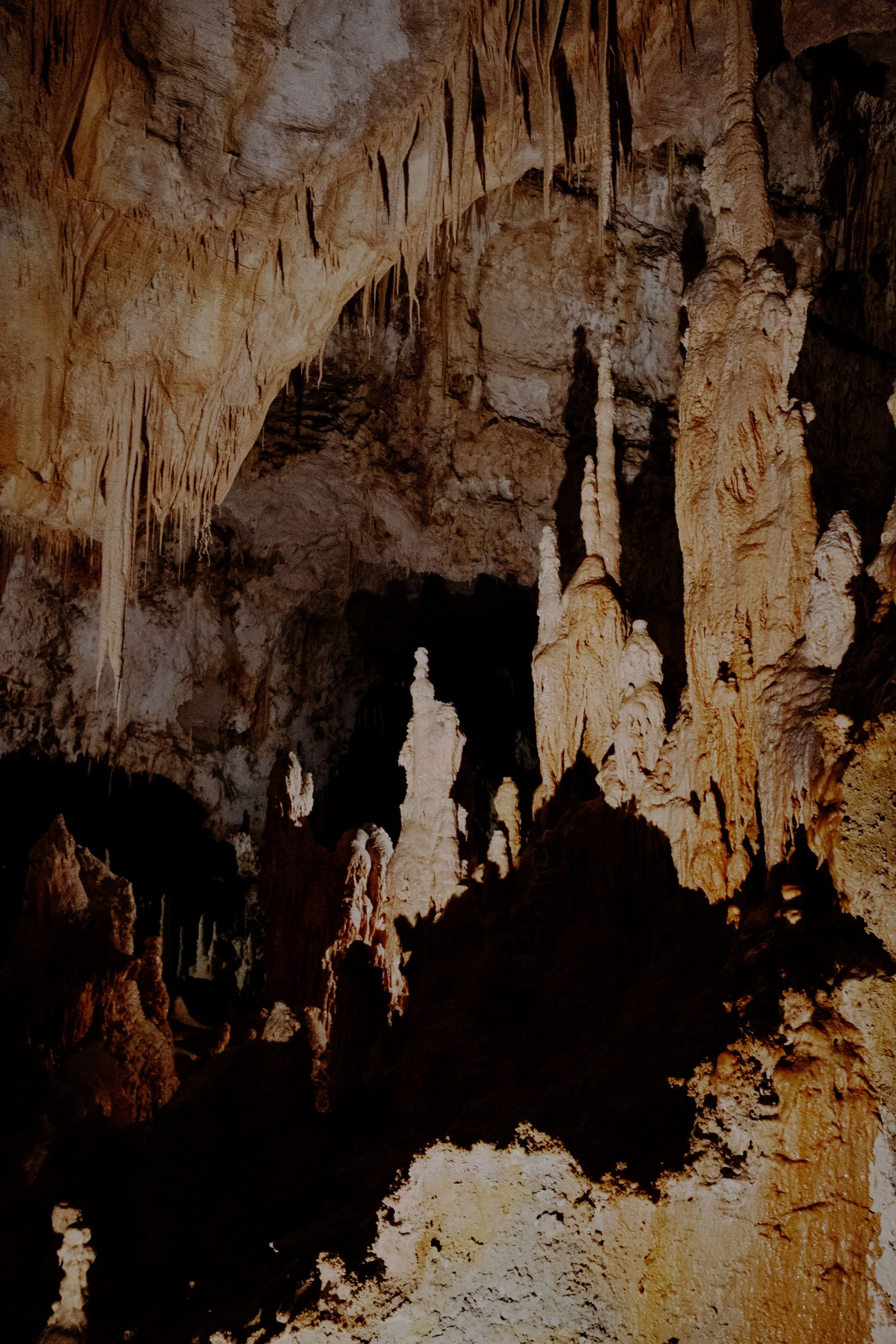 DSCF0038-1.jpg