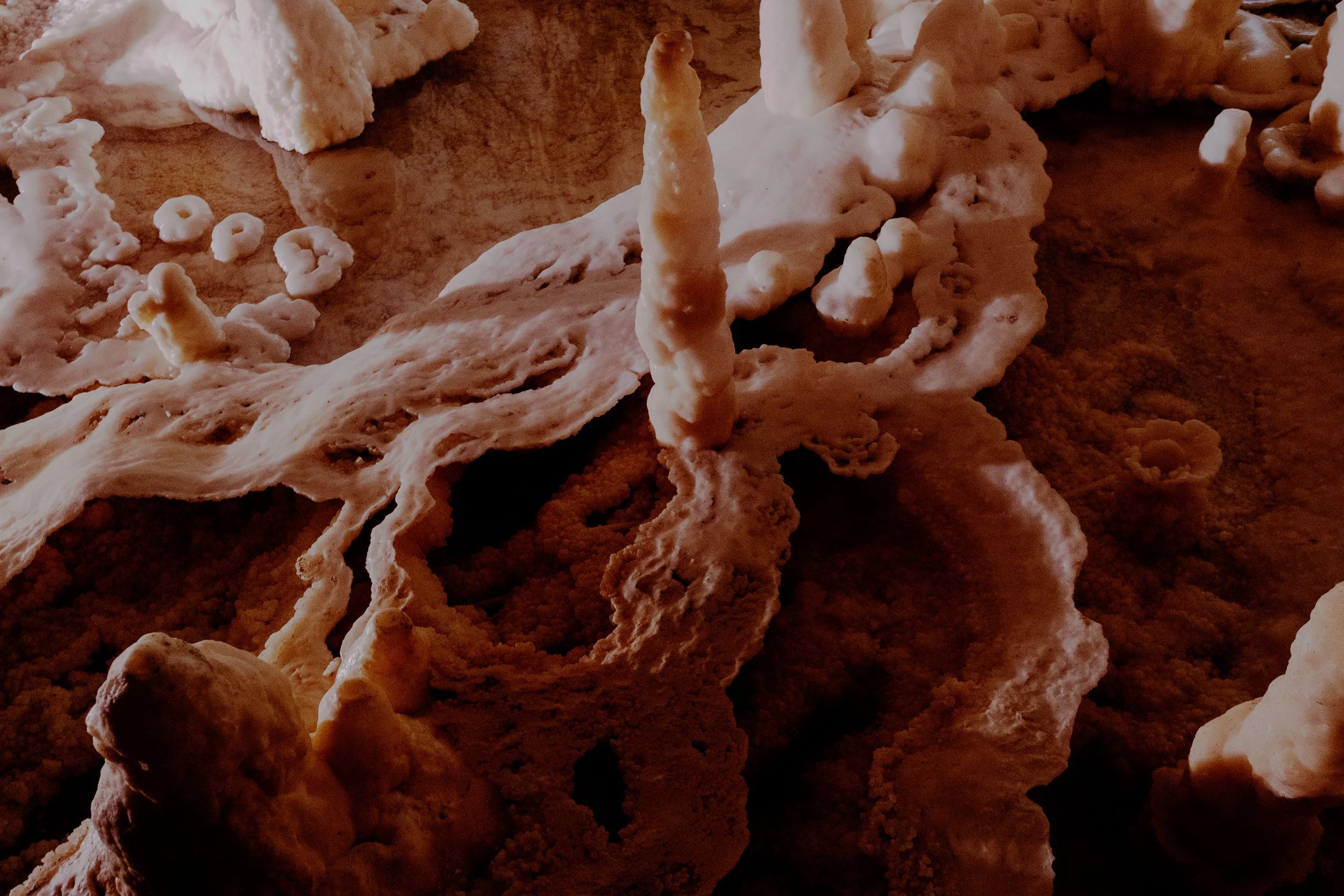 DSCF0071-1.jpg