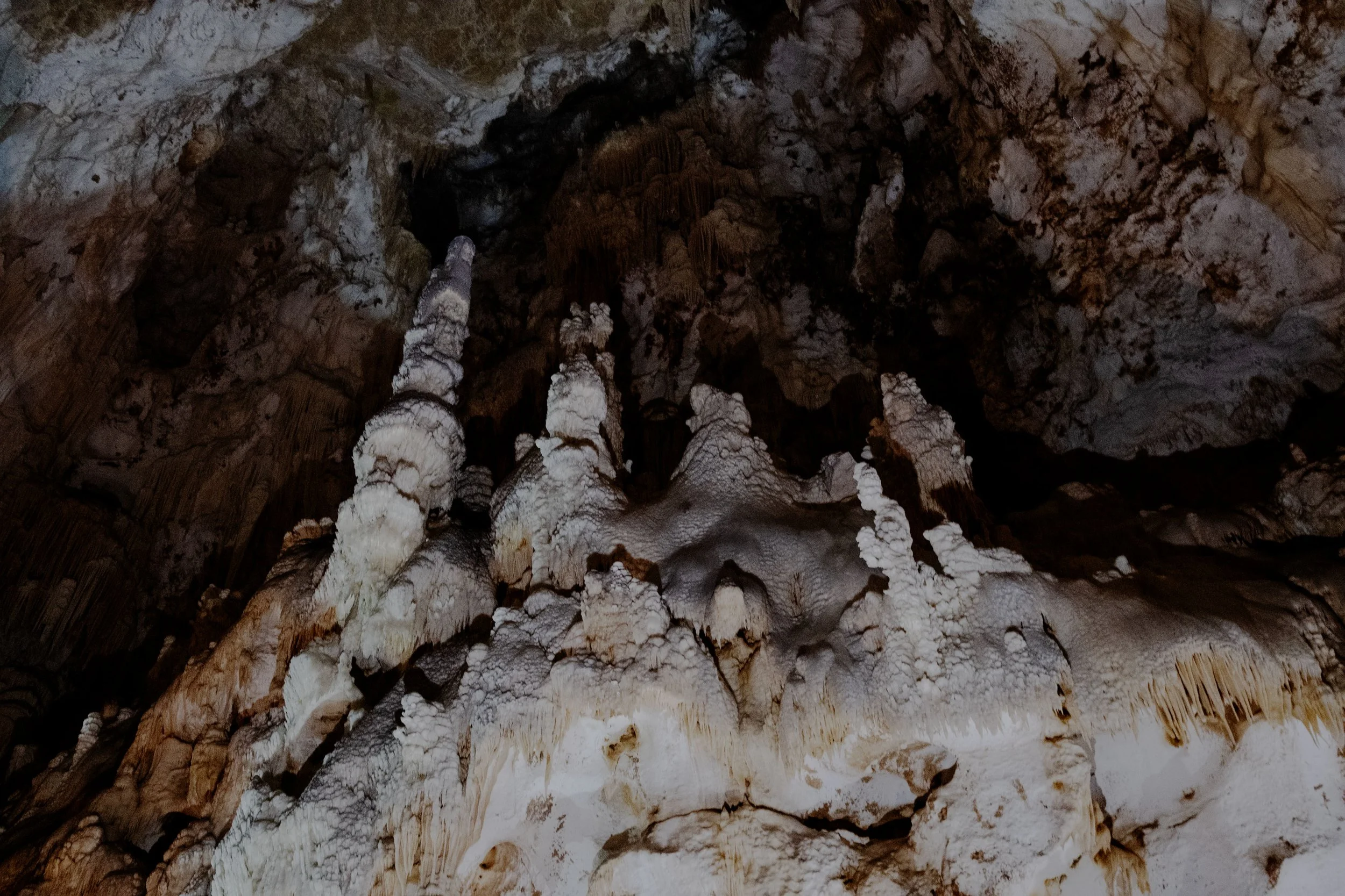 DSCF0058-1.jpg