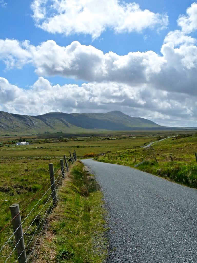 Who knows where the road will lead you?