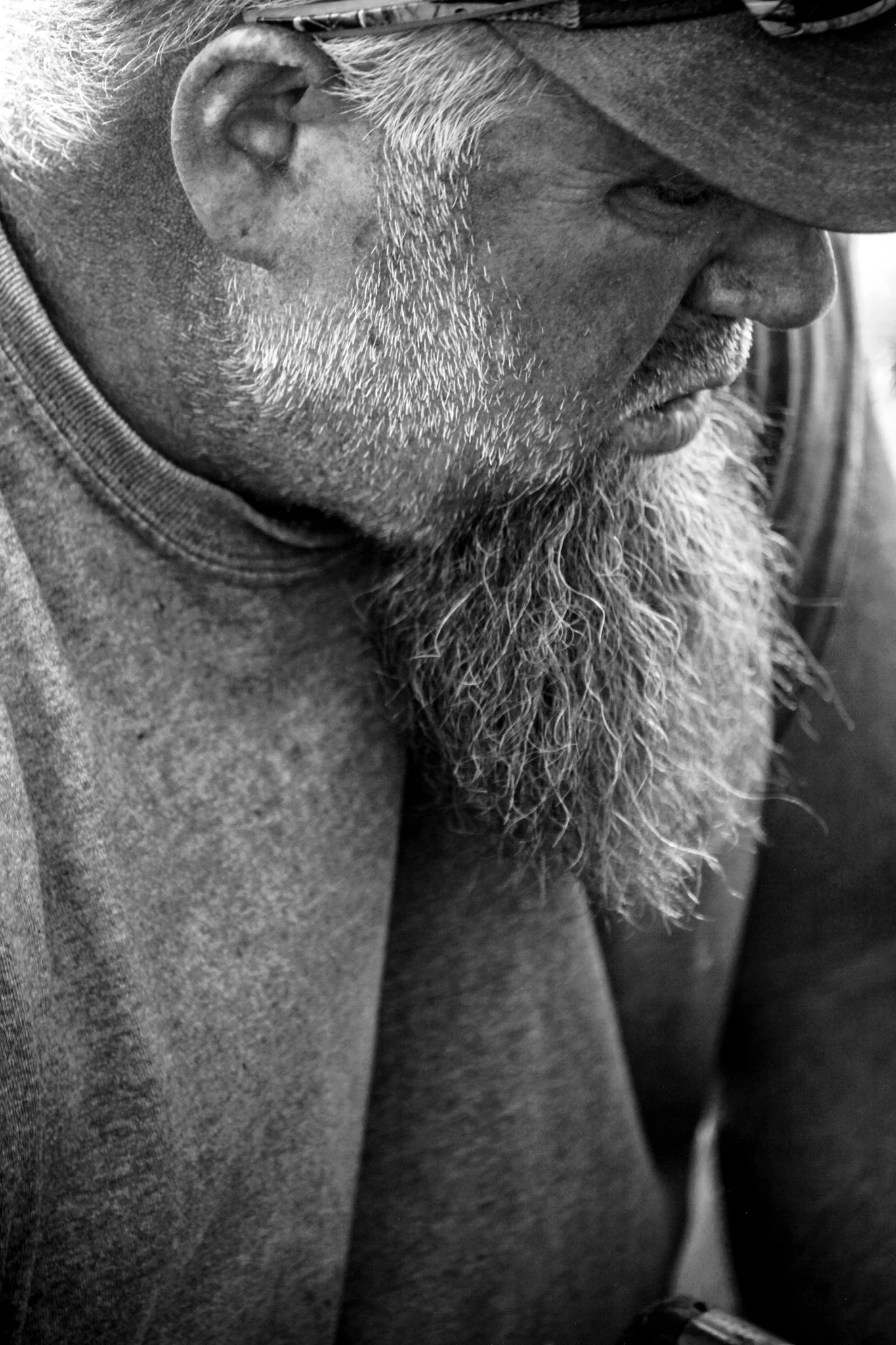 CA 20250808-IMG_2226___SML***.jpg