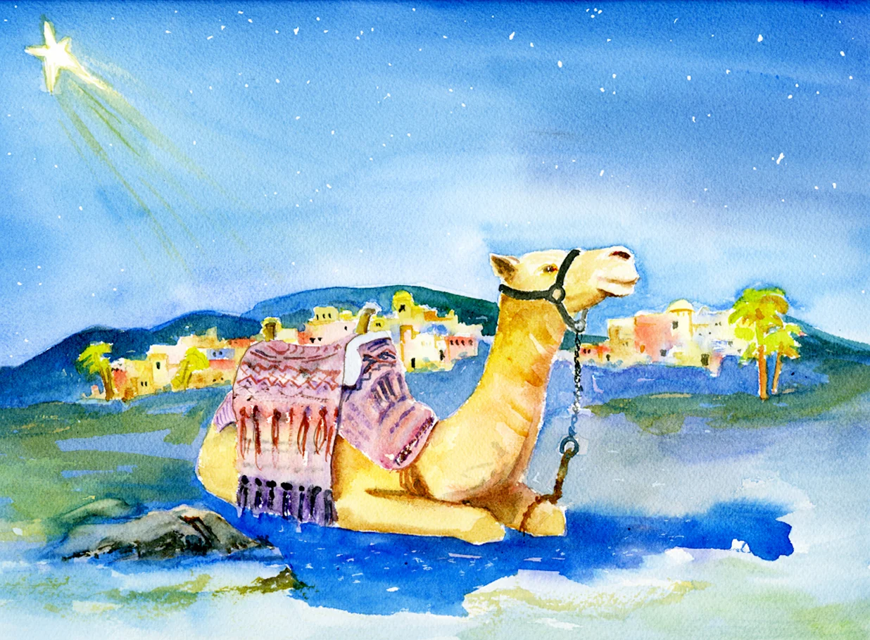 Camel4x.jpg