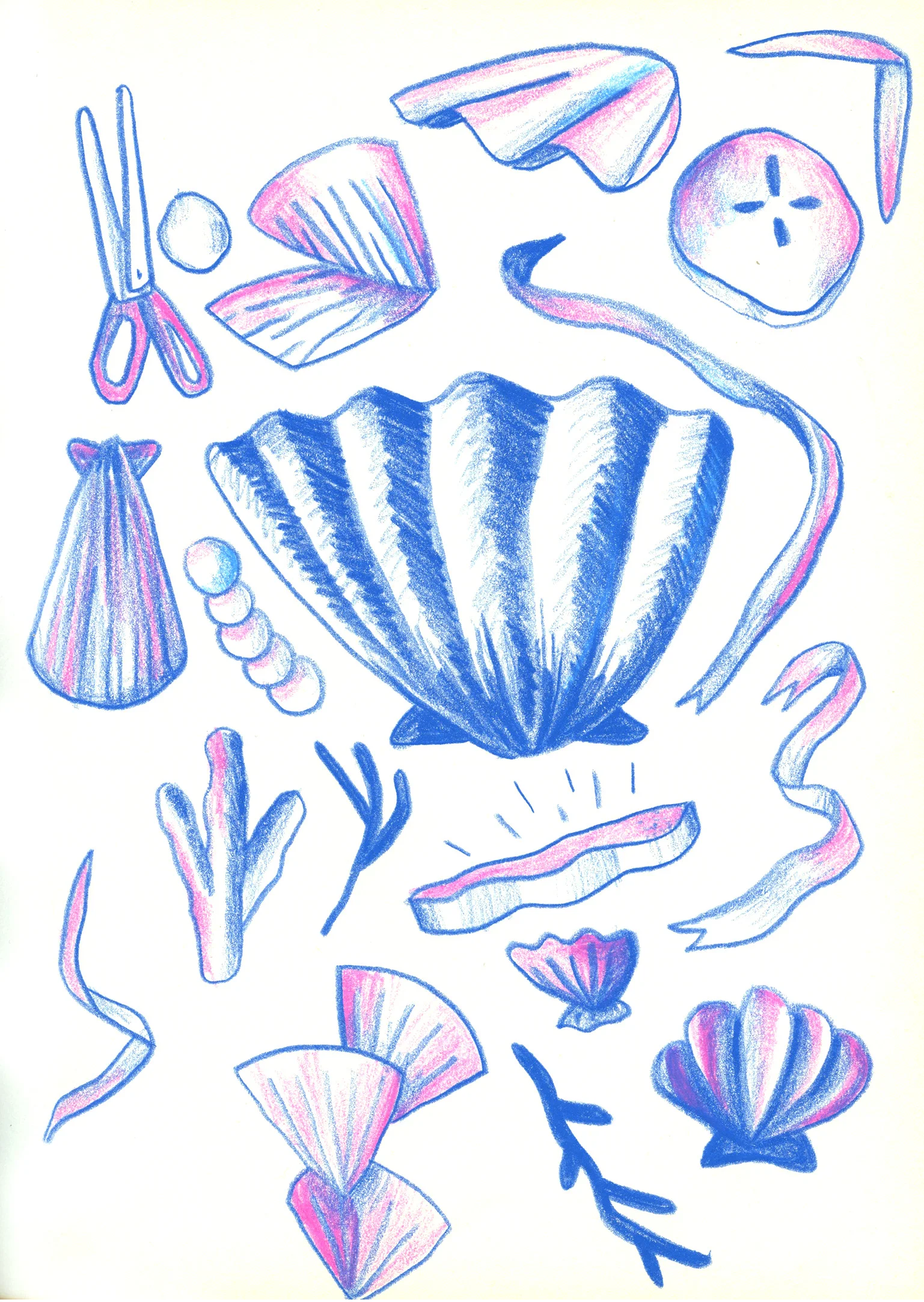 Shells and Trinkets