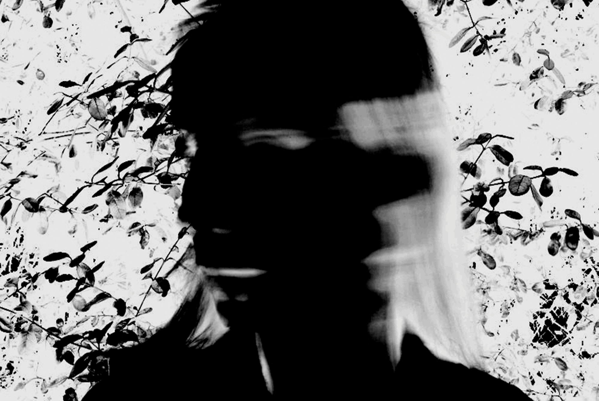 Blur Portraits