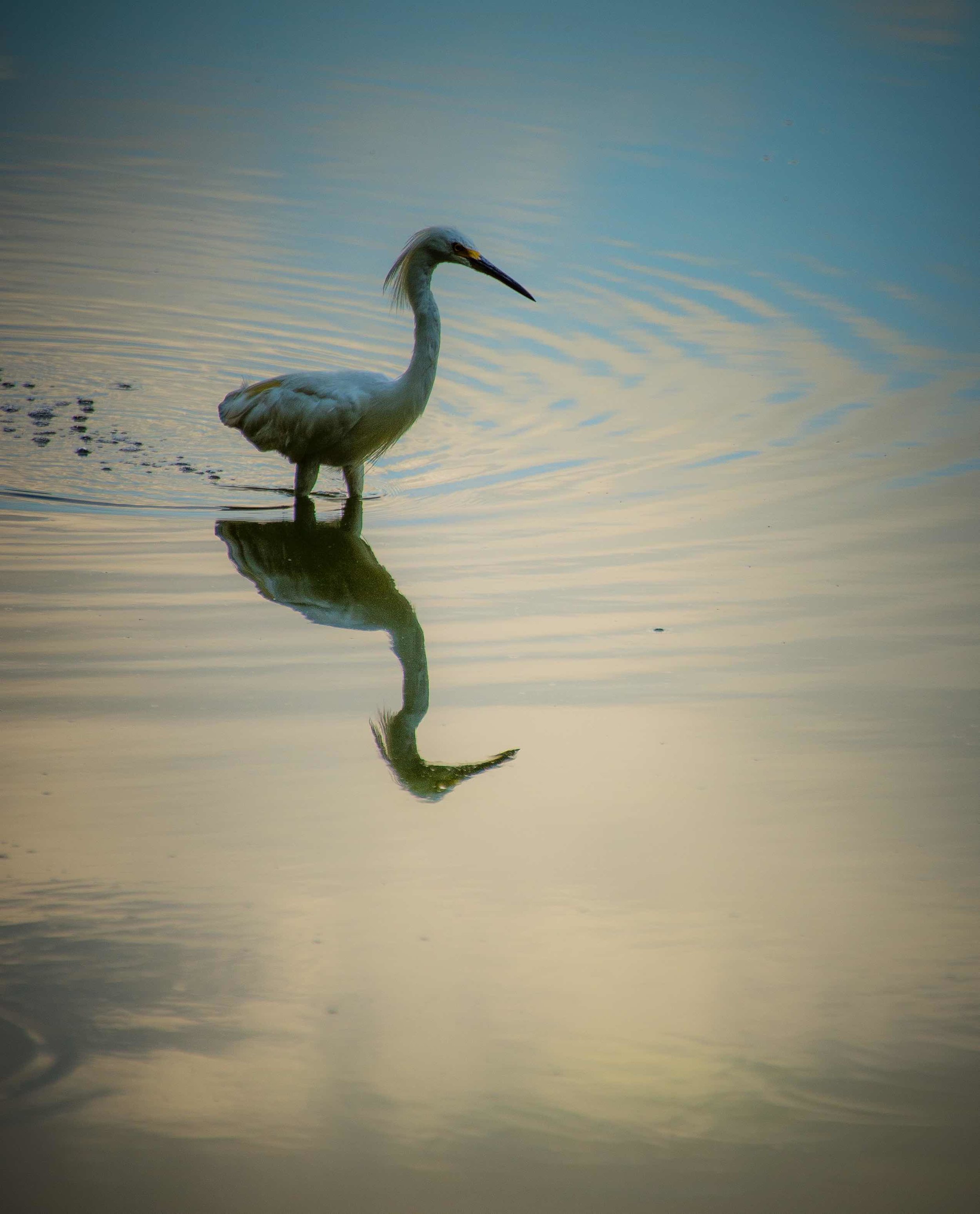 _DSC2906.jpeg