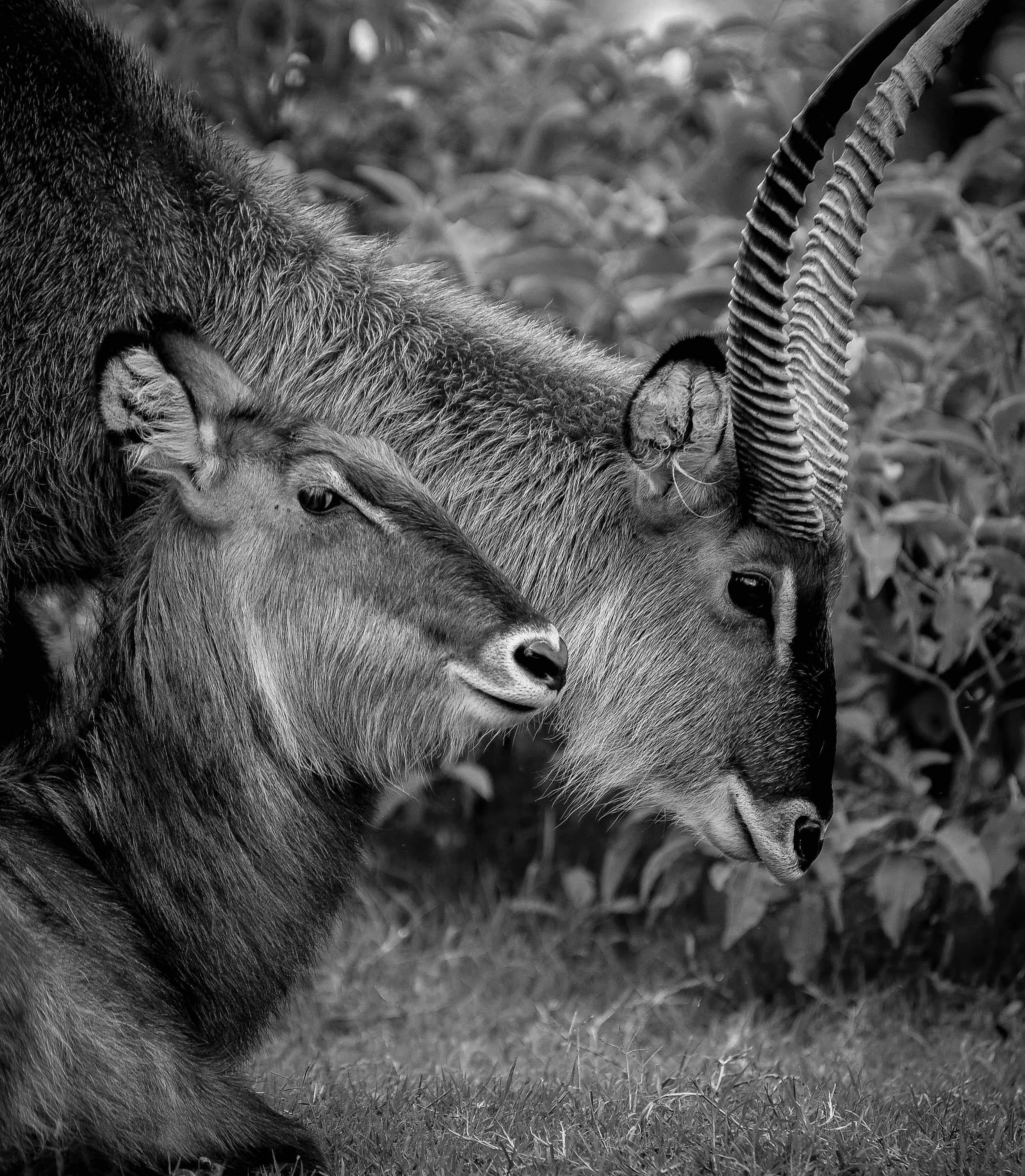 _DSC5045-2.jpeg