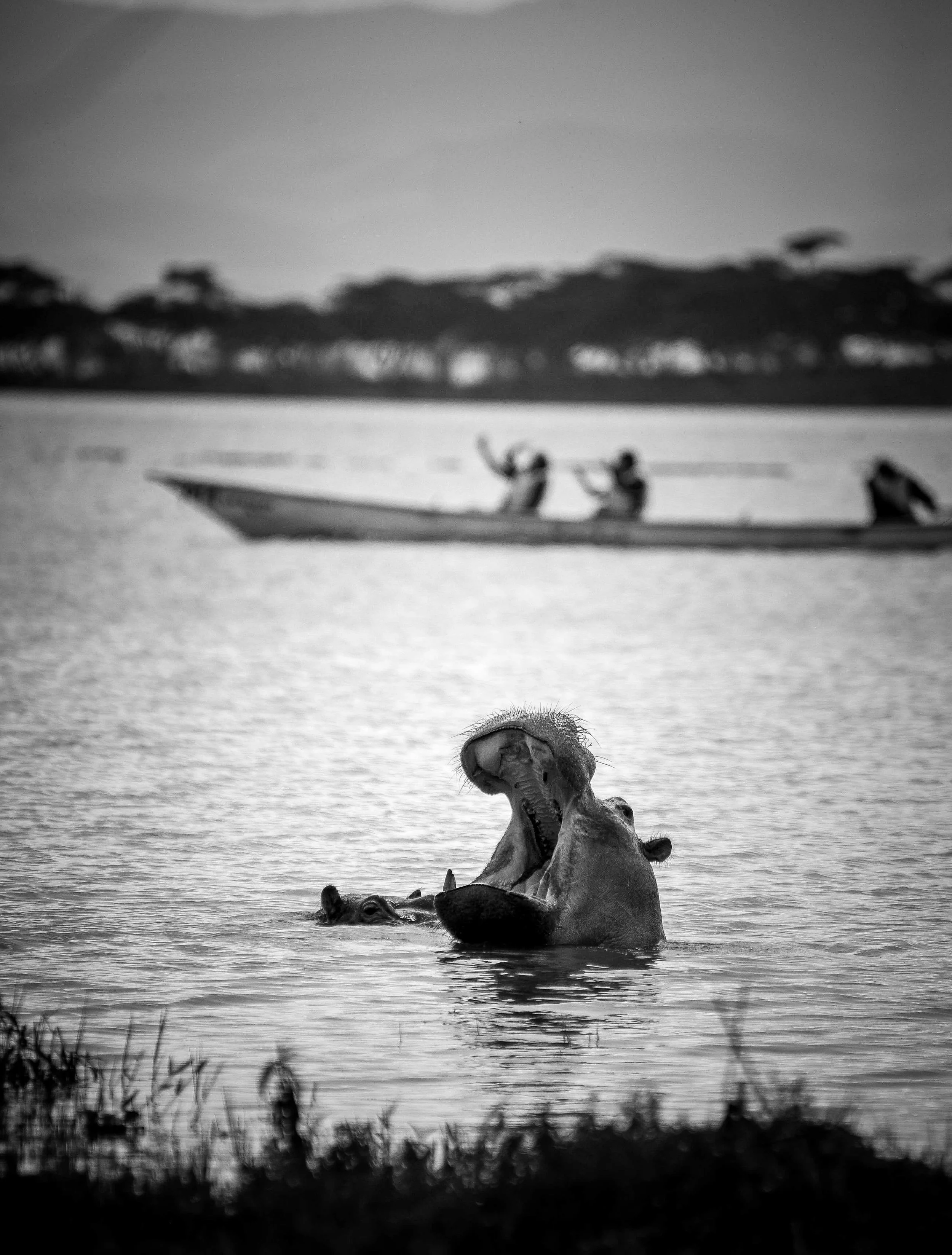 _DSC5180.jpeg