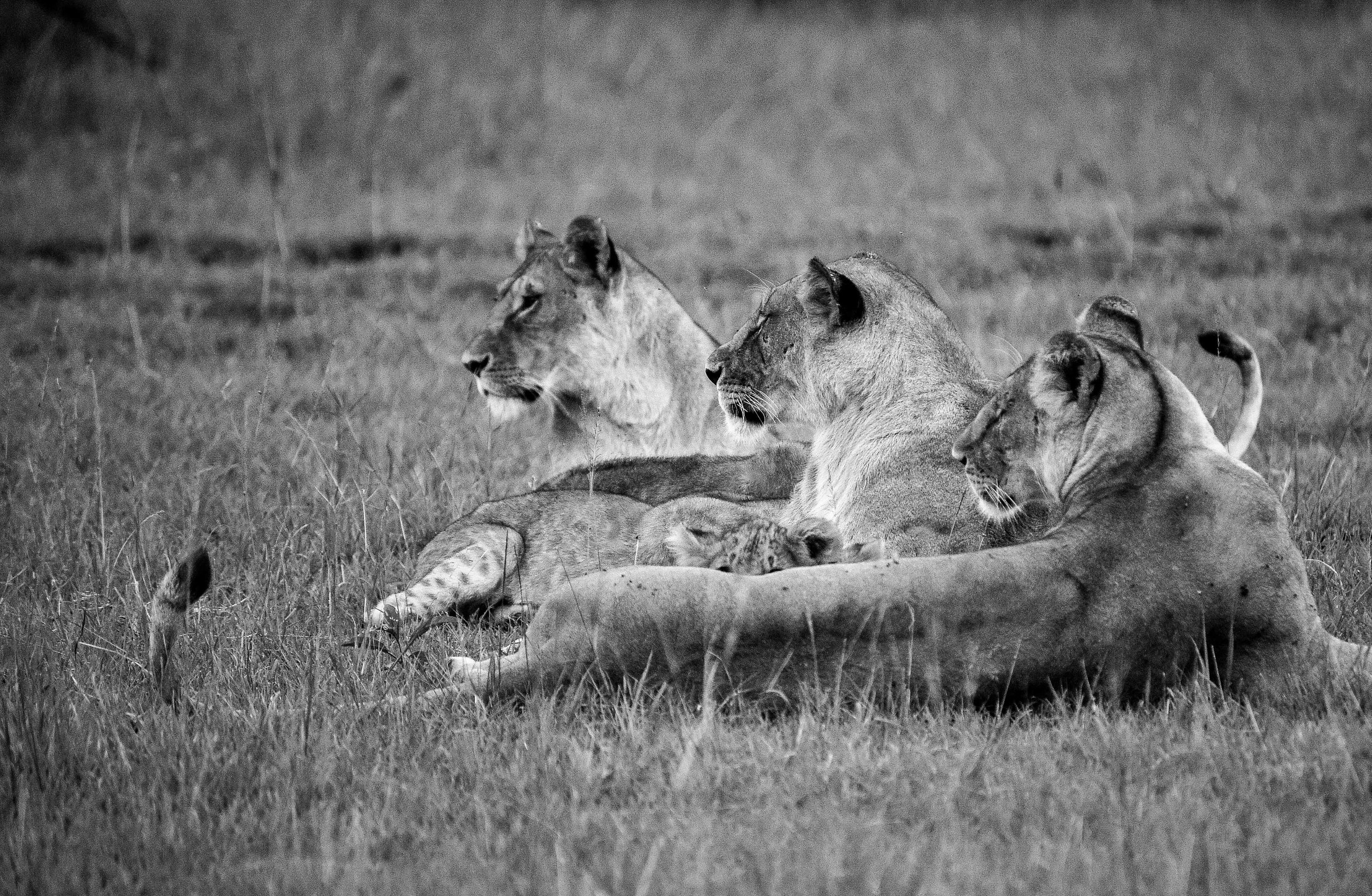 _DSC7559-2.jpeg