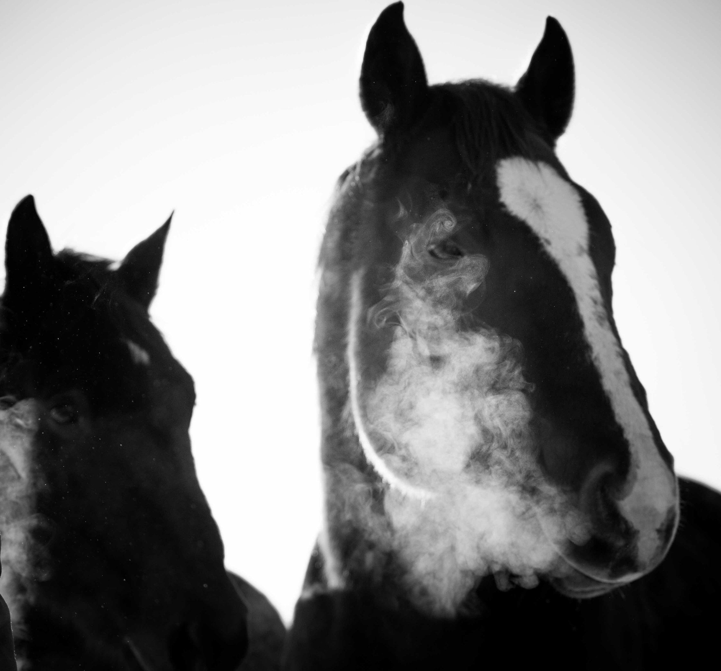 _DSC7987.jpeg