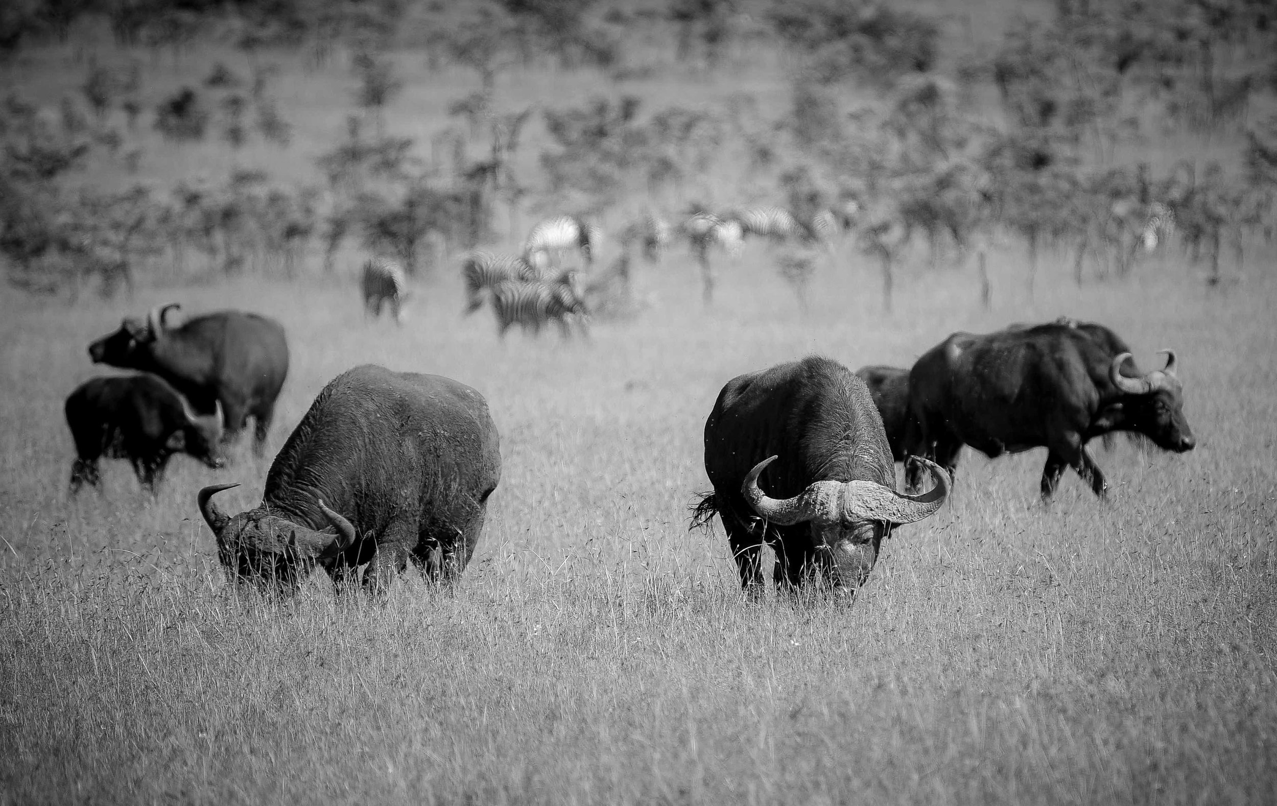 _DSC8305.jpeg