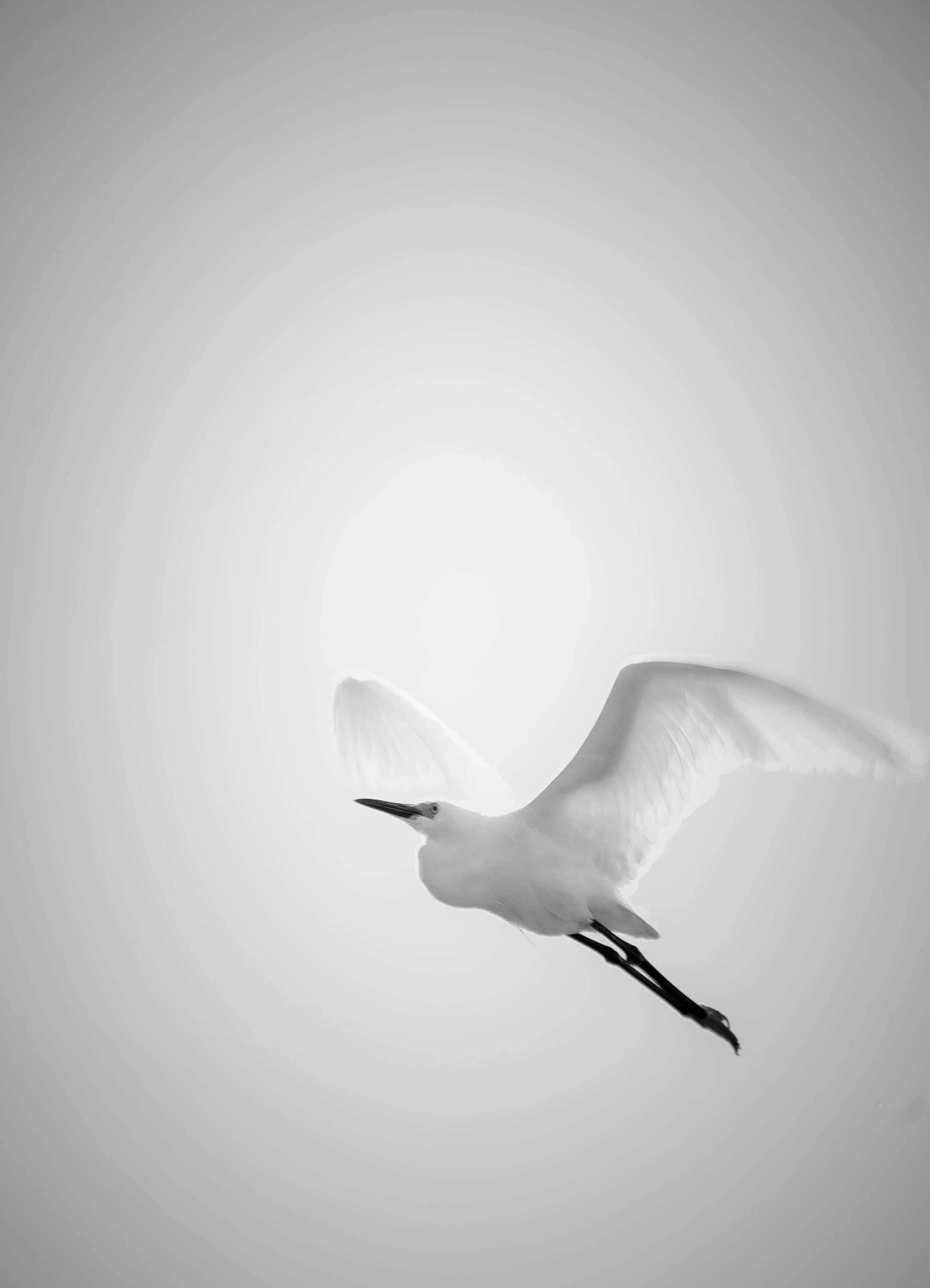 DSC_3066.jpeg