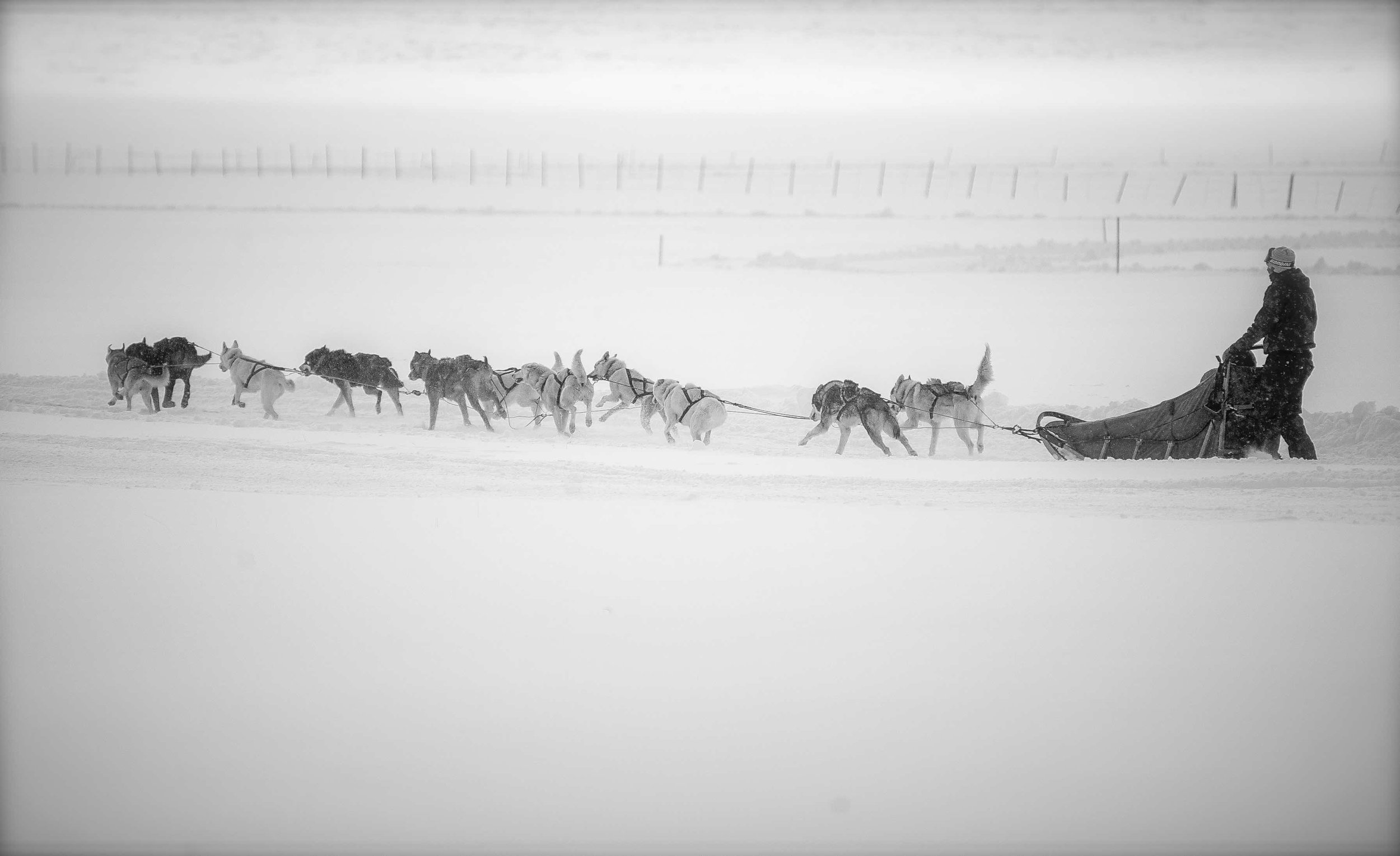 DSC_4091.jpeg