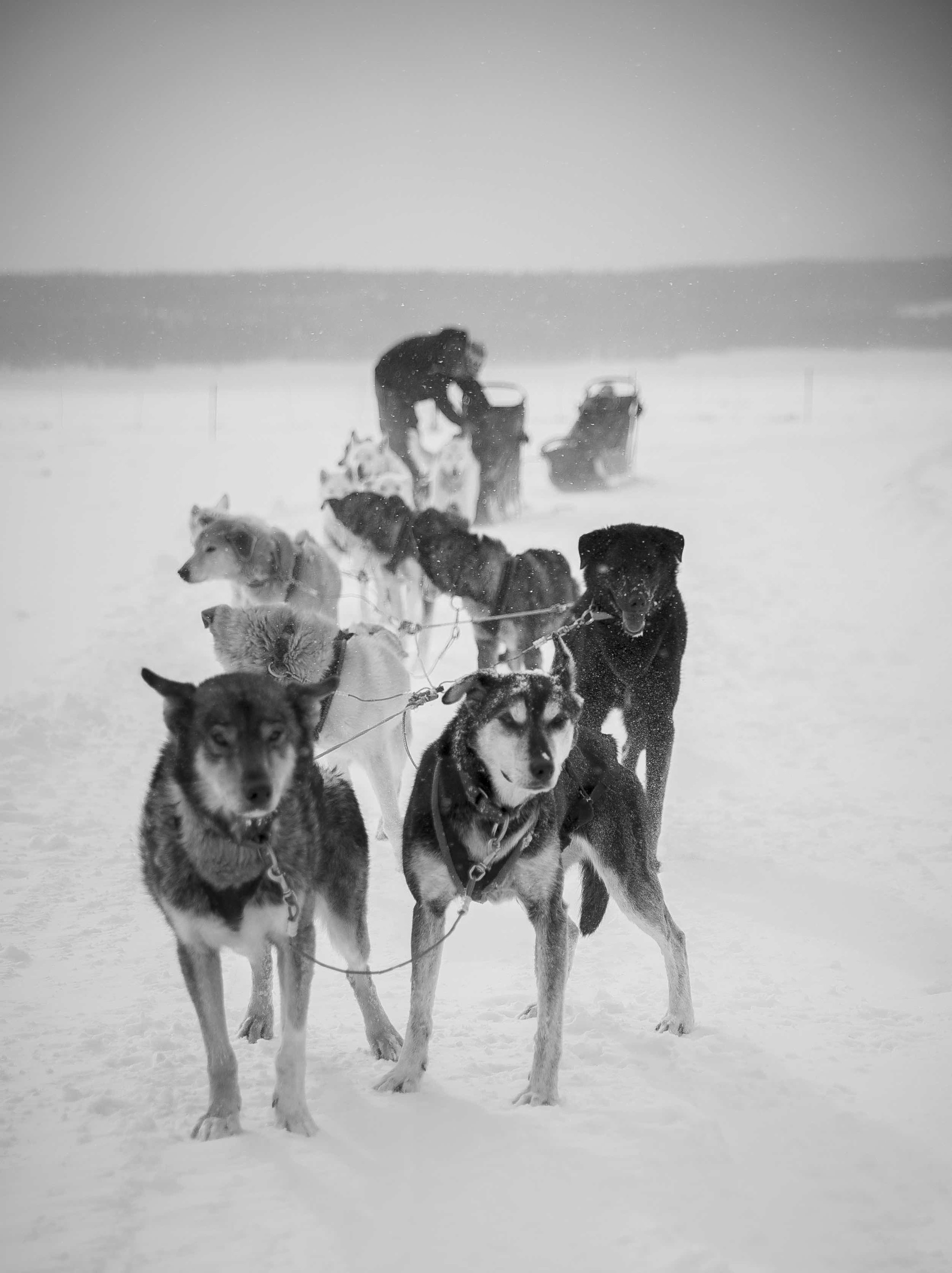 DSC_4187.jpeg