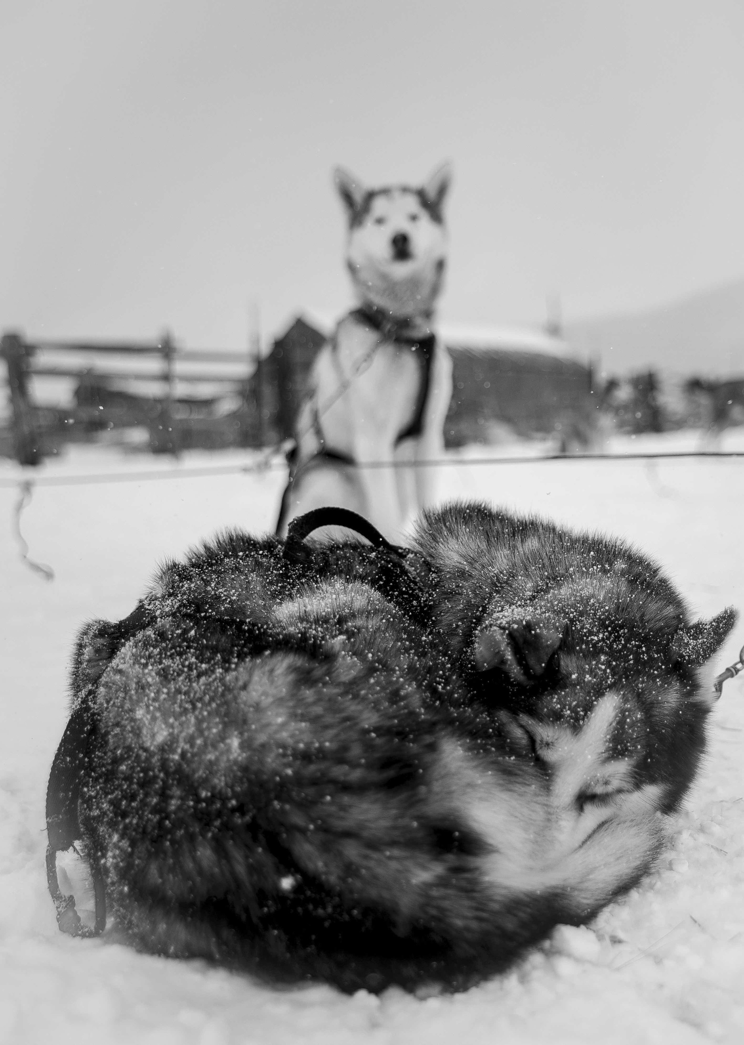 DSC_4370.jpeg