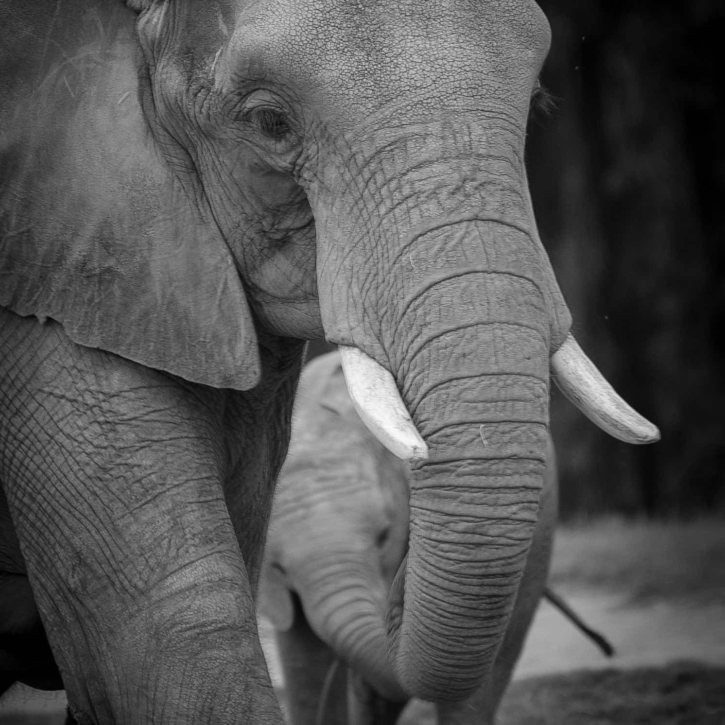 DSC_5255.jpeg