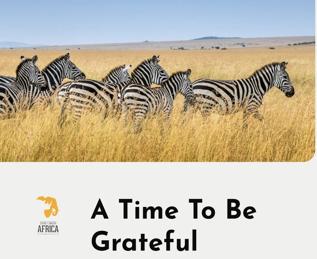 Image 11-22-22 at 2.10 PM.jpeg