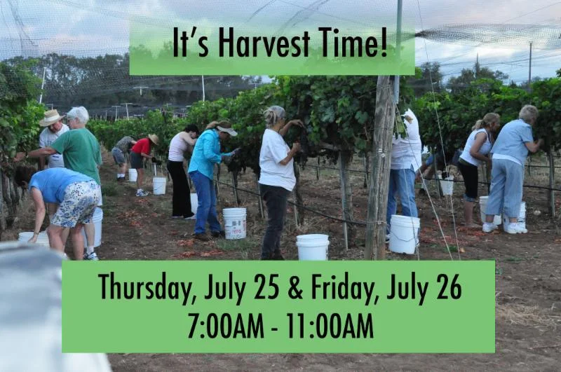 Harvest.jpg