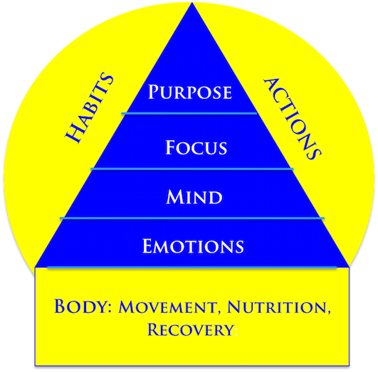 HUMAN ENERGY MODEL