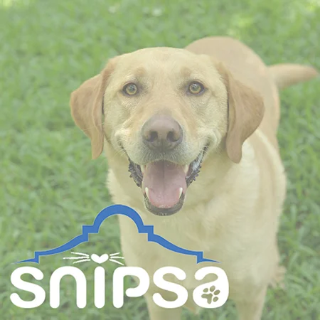 SNIPSA A San Antonio organization dedicated to rescuing, rehabilitating, and rehoming adoptable animals from high kill shelters and the community. 