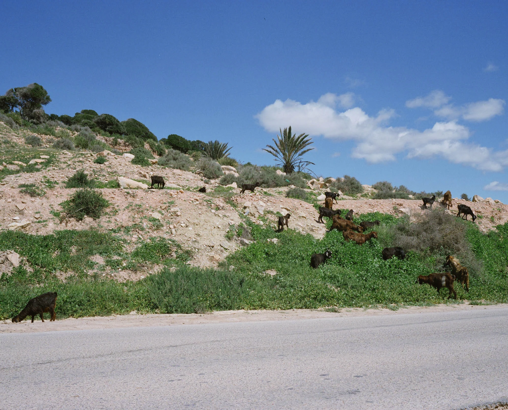 Raul_Guillermo_cityitself10.jpg