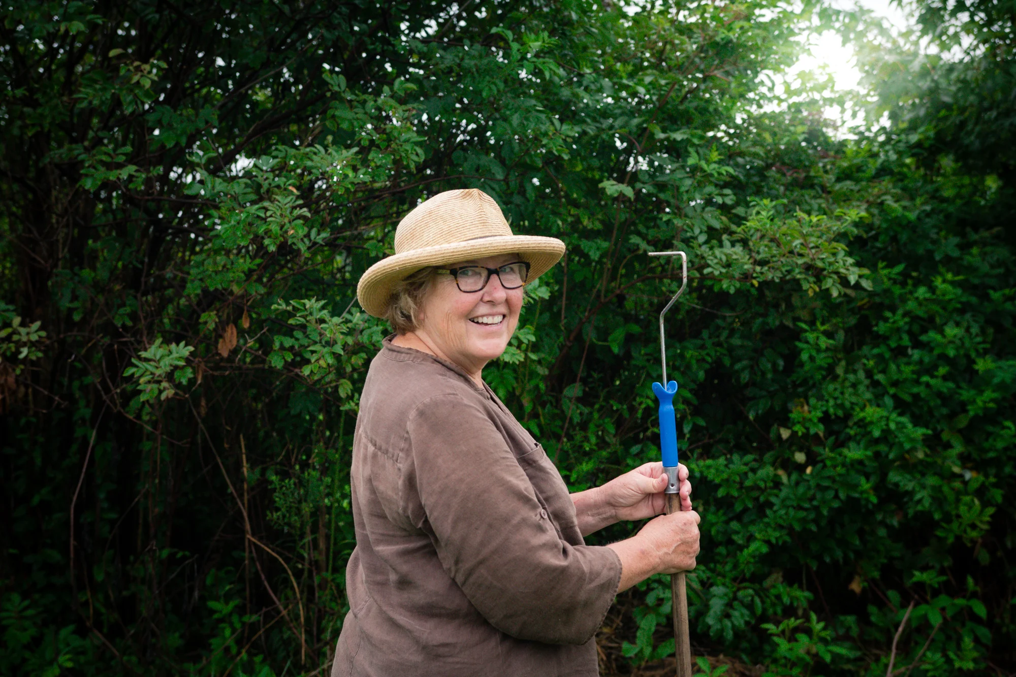 Elderberry Harvest-3.jpg