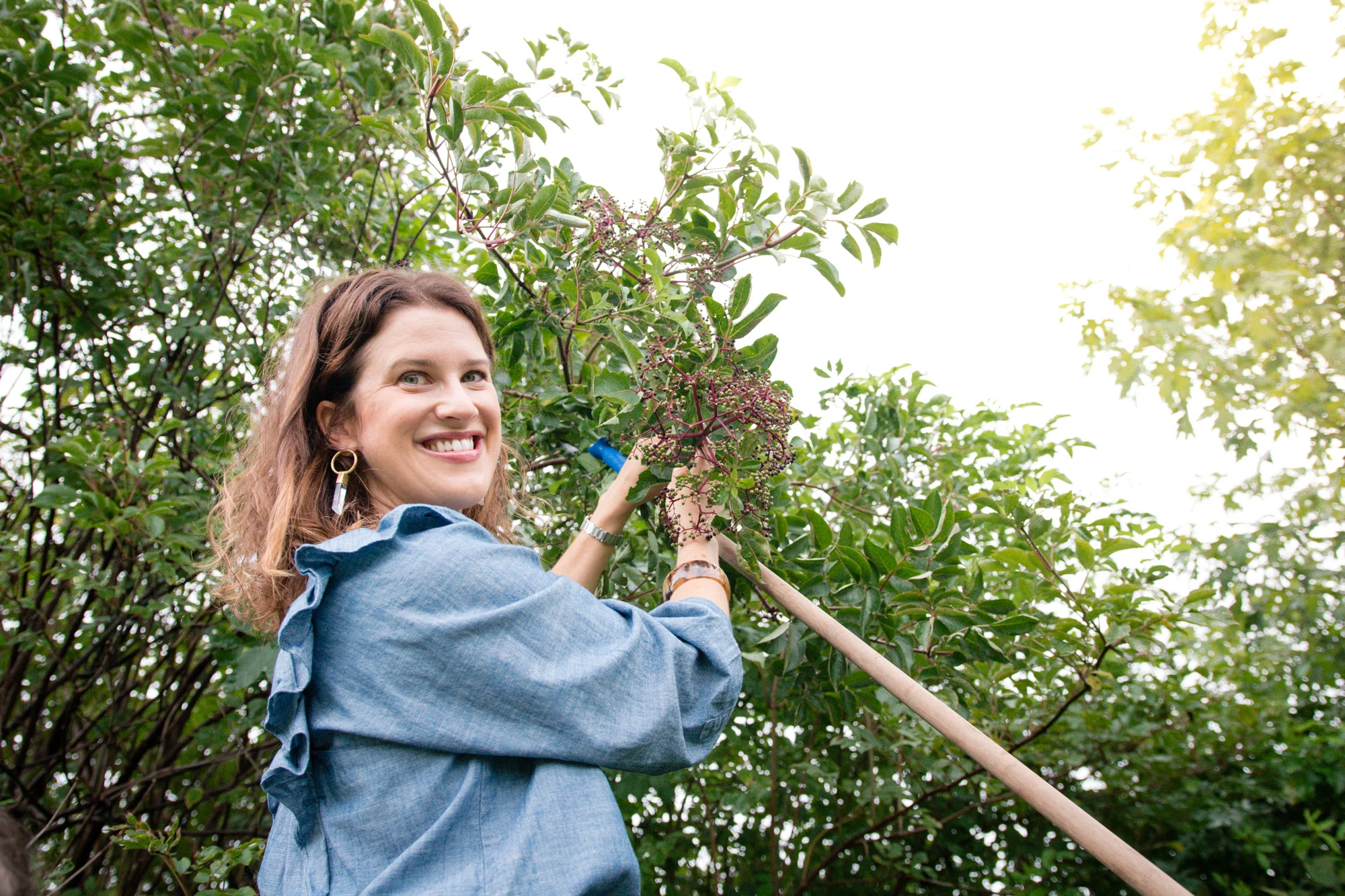 Elderberry Harvest-12.jpg