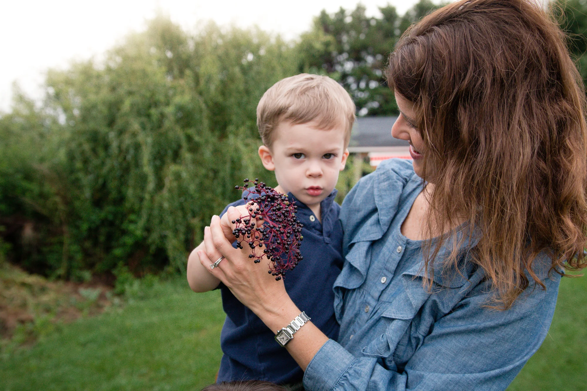 Elderberry Harvest-17.jpg