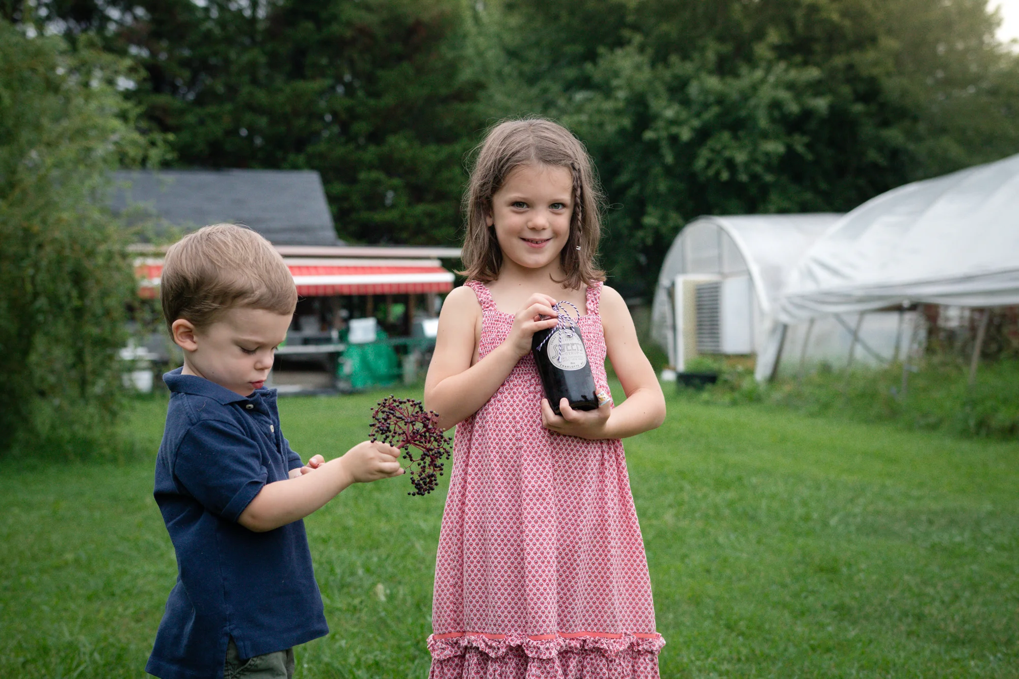 Elderberry Harvest-19.jpg