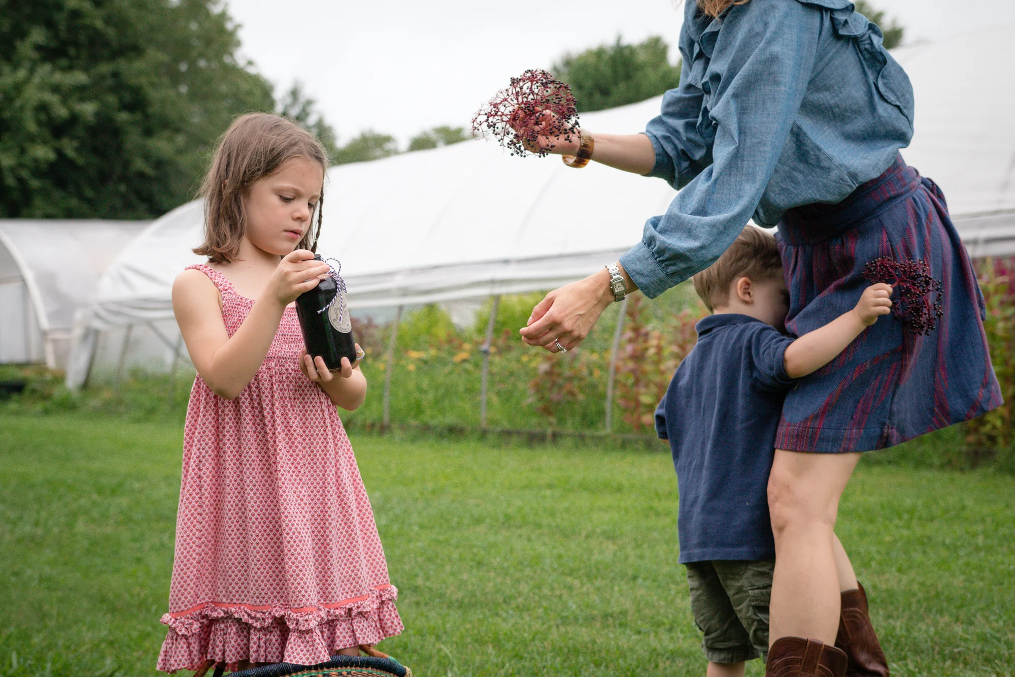 Elderberry Harvest-20.jpg