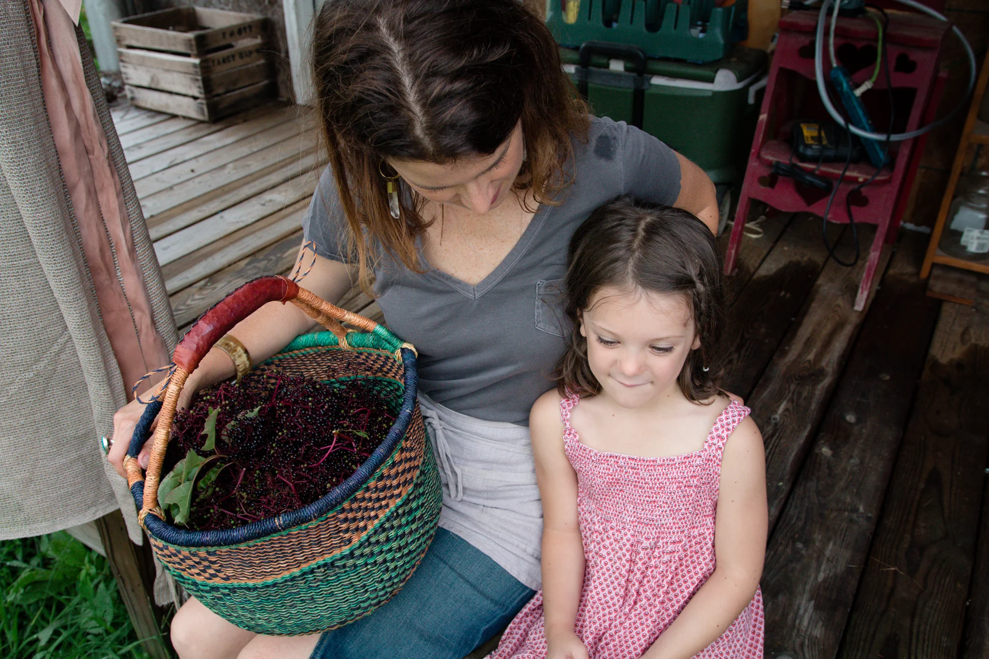 Elderberry Harvest-35.jpg