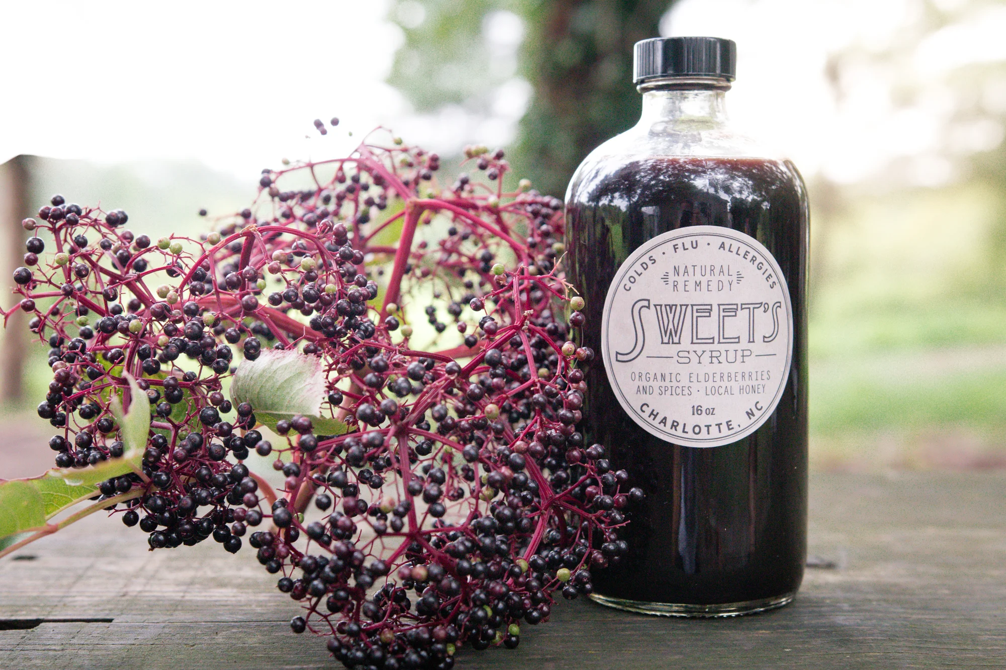 Elderberry Harvest-44.jpg