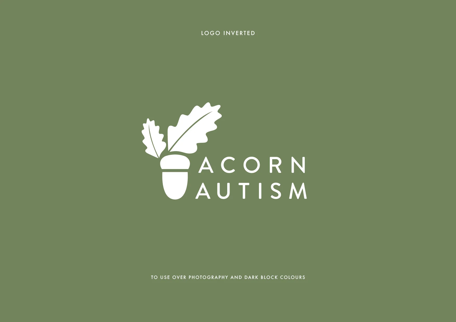 Rochelle-Vranjes-Acorn-Autism-Branding-Guidelines4.jpg