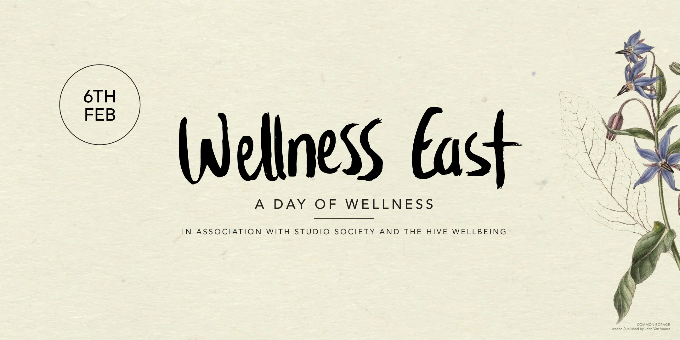 Wellness East_The Hive Wellbeing_Studio Society.jpg