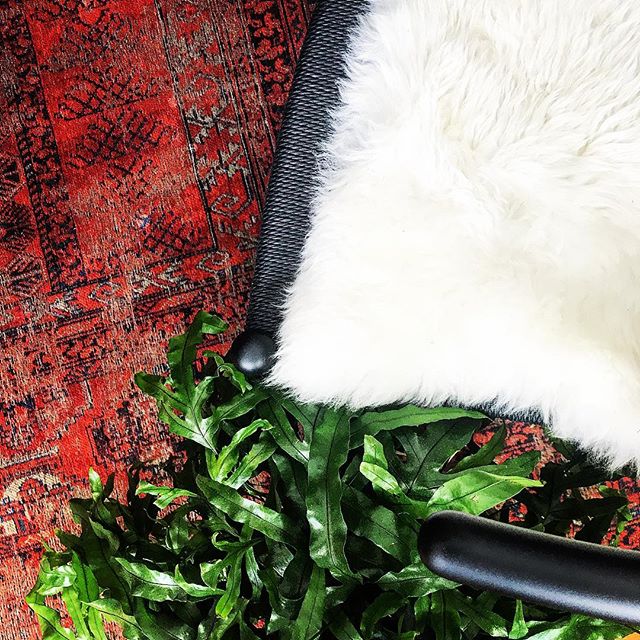 House is in full revamp mode over here and I am obsessed with our new dining room rug and chairs πβ€οΈ Only took me months of staring at rugs to finally lock down this perfect little diddy and she was so worth the wait!