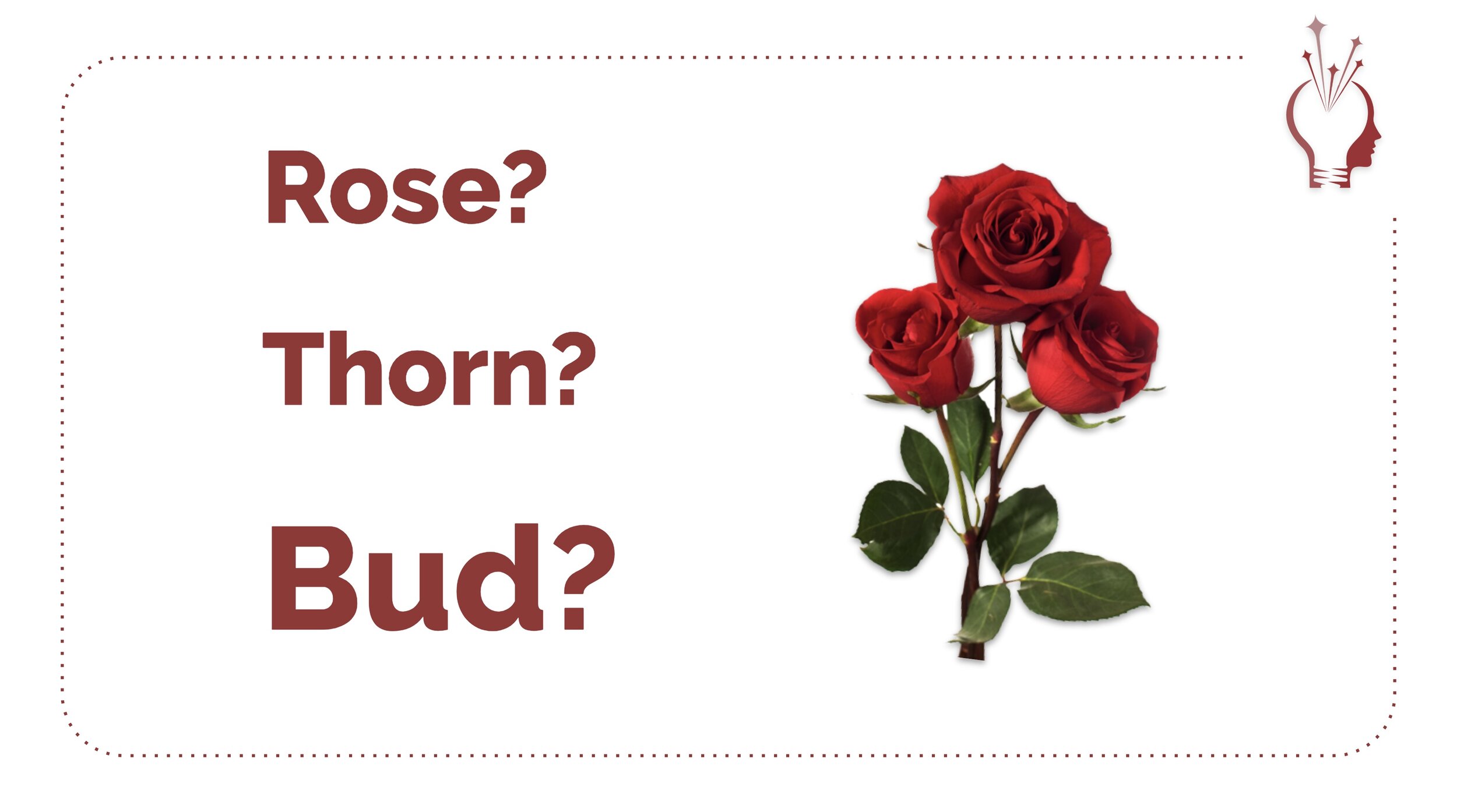 What Is Rose Bud Thorn