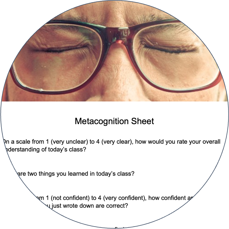 Download our Metacognition Template and share our Research Snapshot
